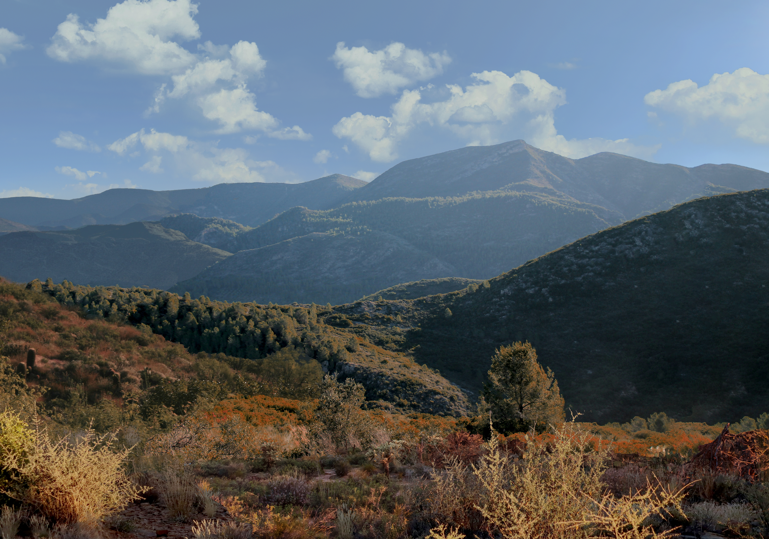 Extensions for me.png