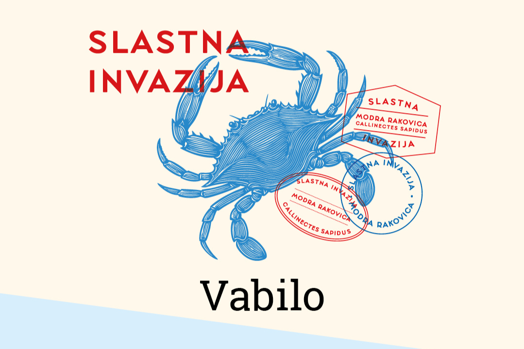 NAPOVED - Večer modre rakovice v restavraciji Rizibizi