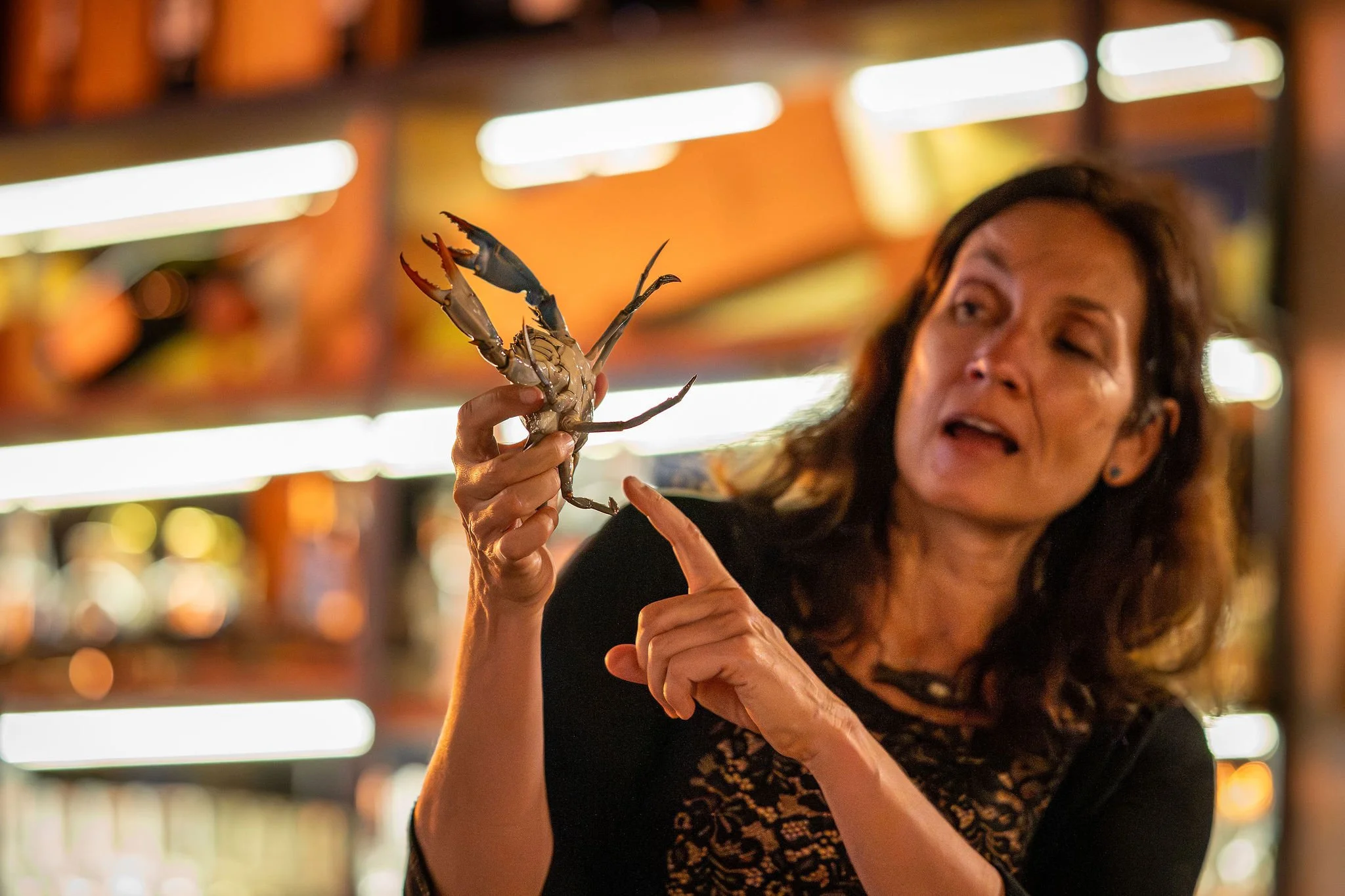 13-03-2026_Kulinarični-večer-modre-rakovice-Rizibizi_Zavod-YouSea_Foto-Danej-Benulič (148).jpg