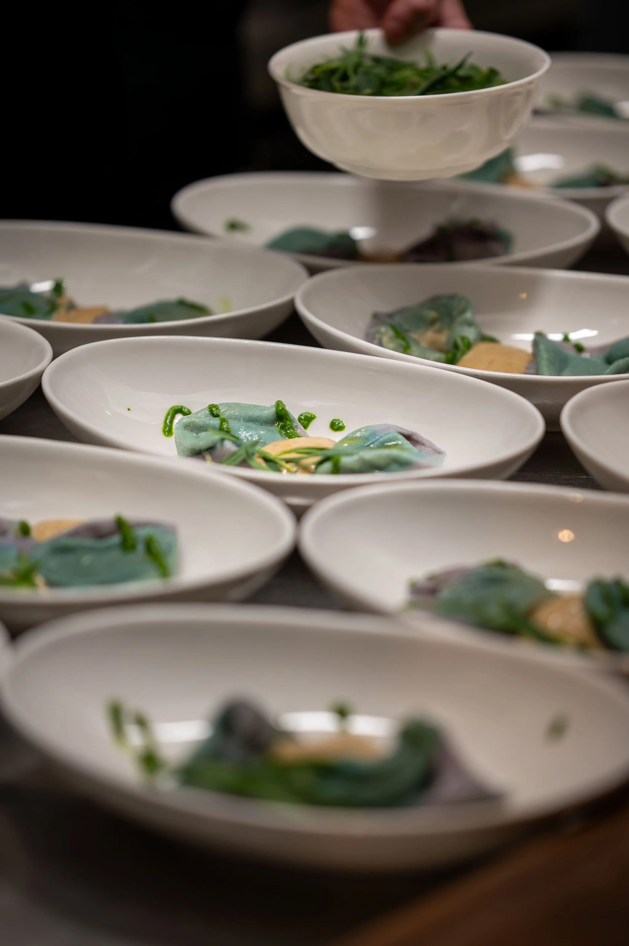 13-03-2026_Kulinarični-večer-modre-rakovice-Rizibizi_Zavod-YouSea_Foto-Danej-Benulič (50).jpg