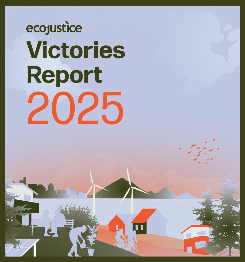 Victories Report.png