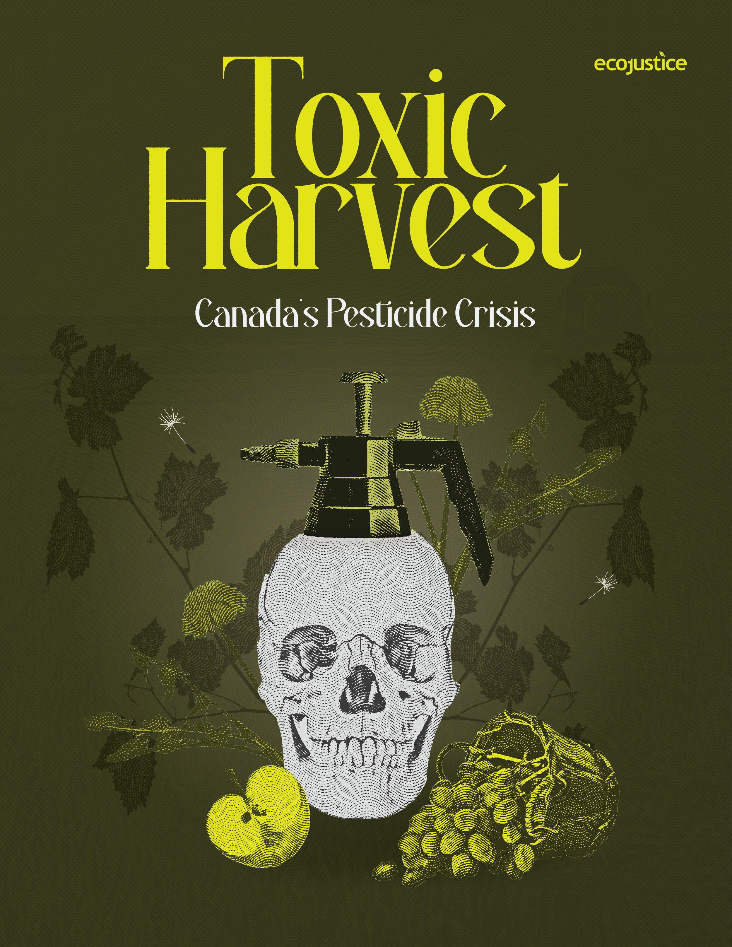 EcoJustice Report Cover.png