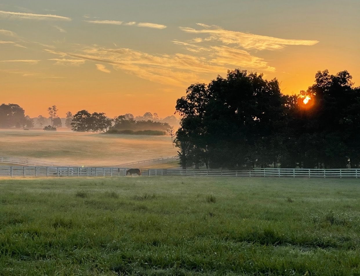 Oxford Springs Farm, paddock view at sunset with horse (Copy) (Copy) (Copy) (Copy) (Copy)