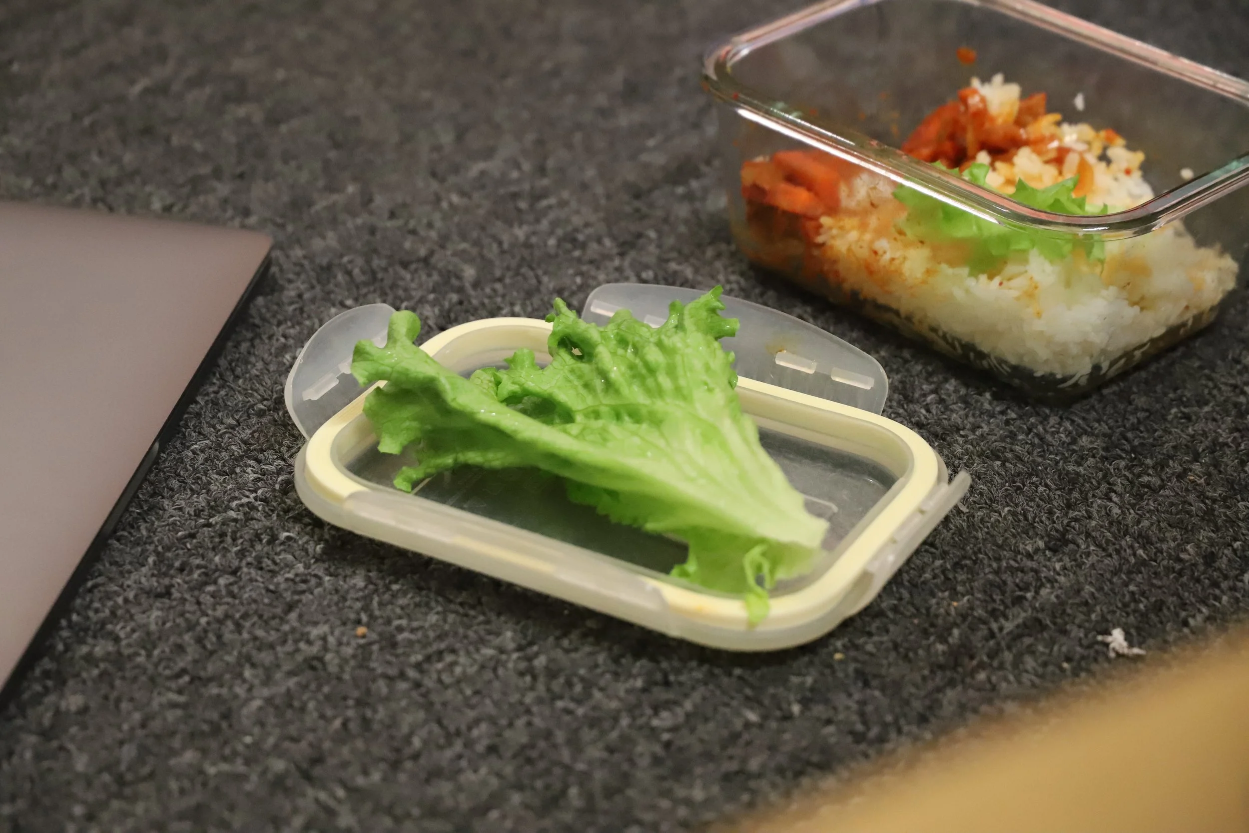 2023-01-17 - IMG_2141.JPG