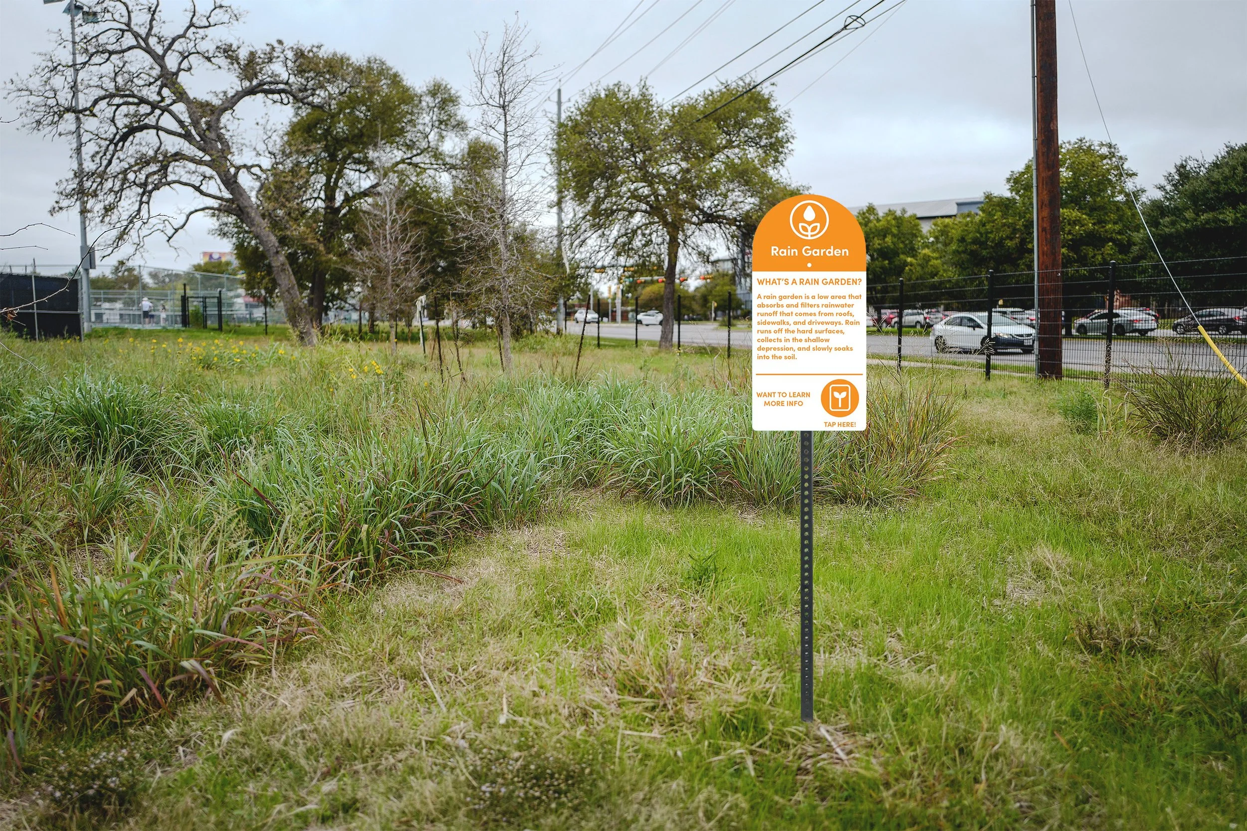 Rain Garden MockUp (1).jpg