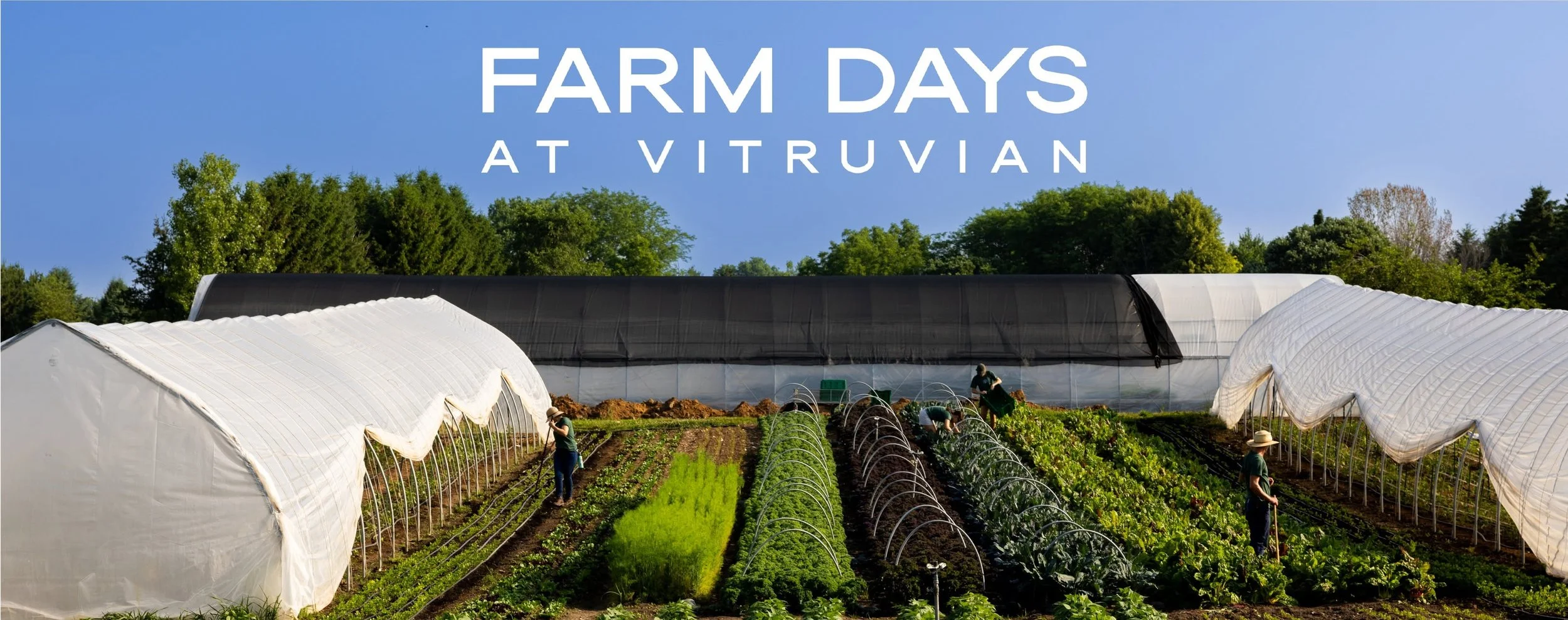 Farm Days at Vitruvian Farms