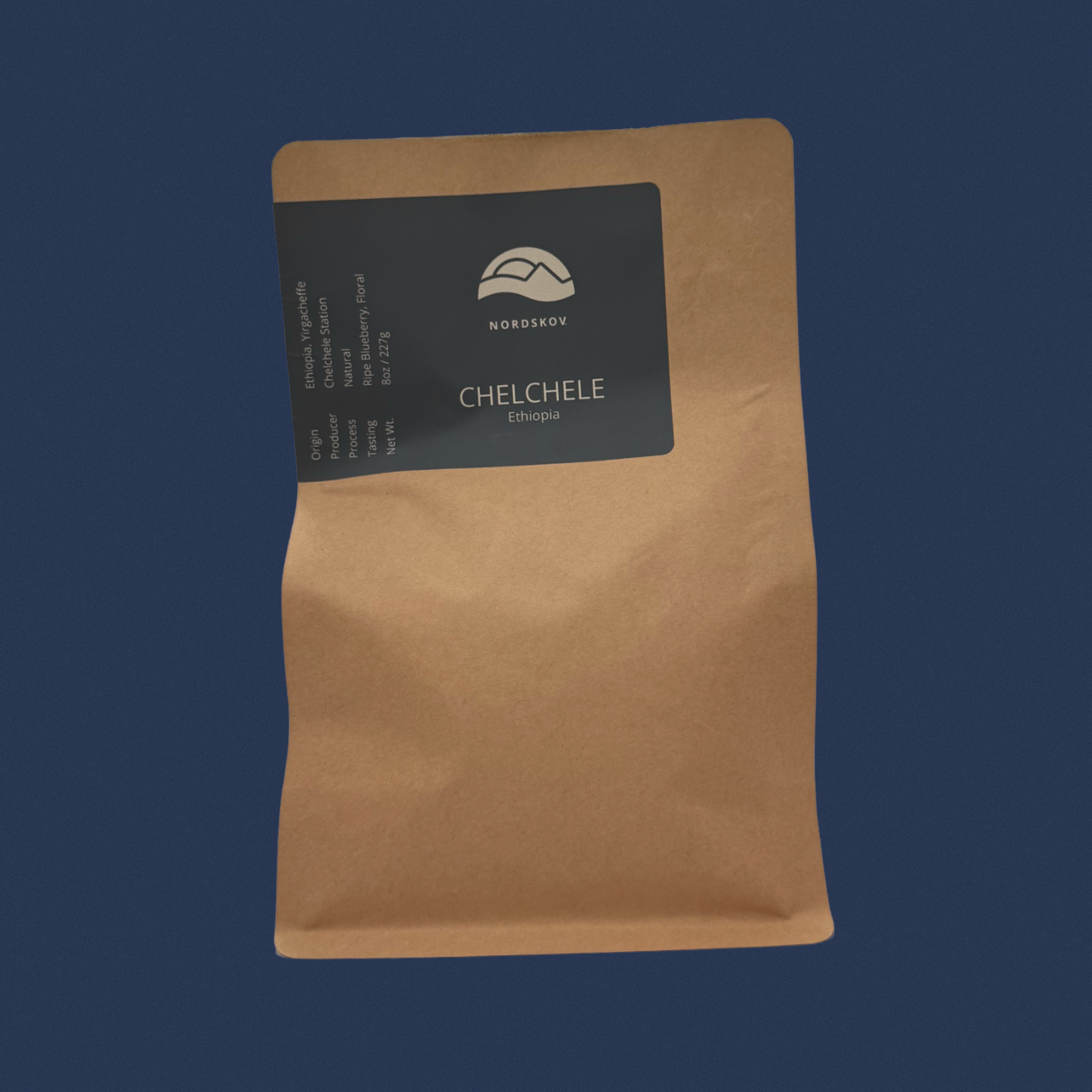 2025 Ethiopia Chelchele Head On.png