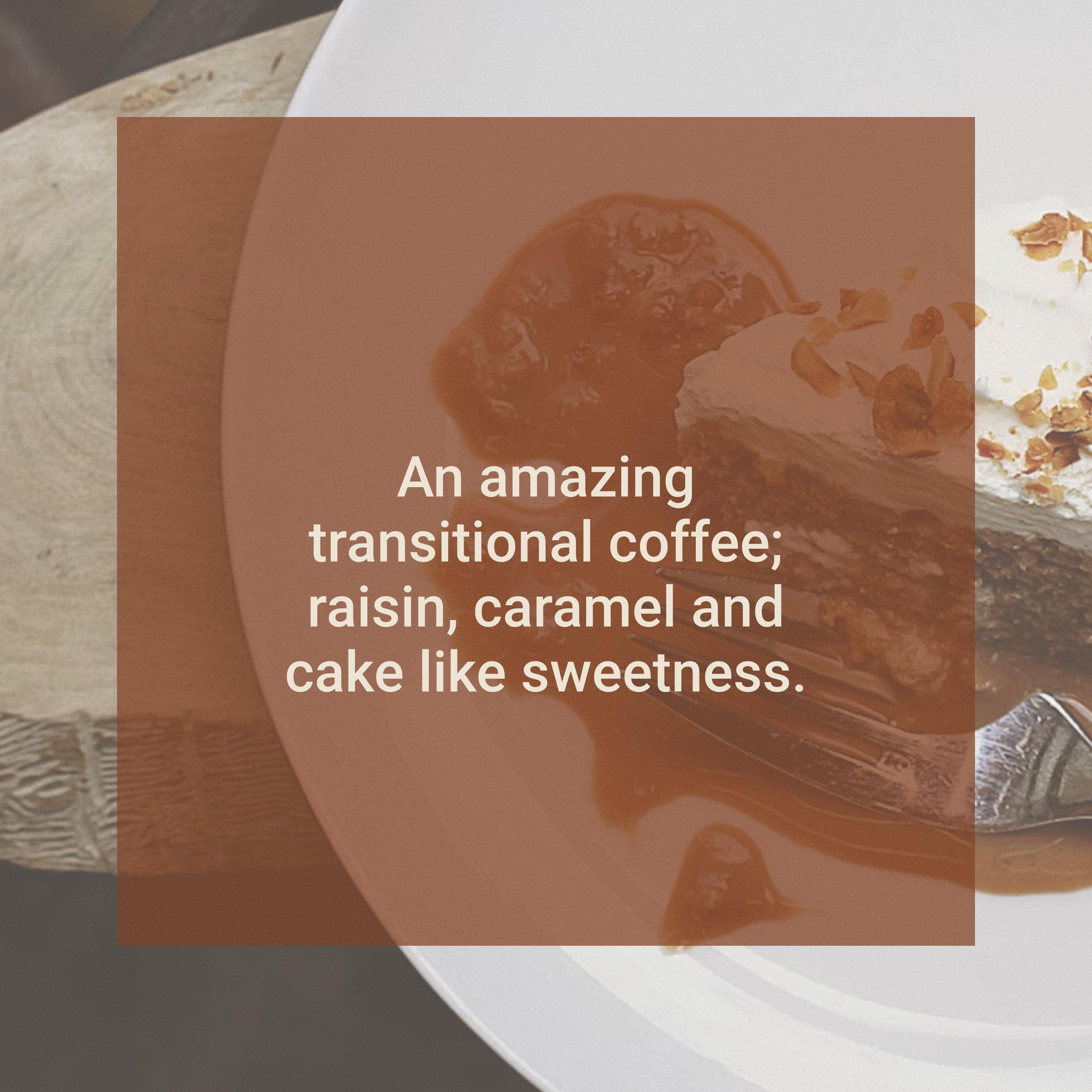 Nordskov Costa Rica Cerro San Luis coffee tasting notes of raisin, caramel and cake