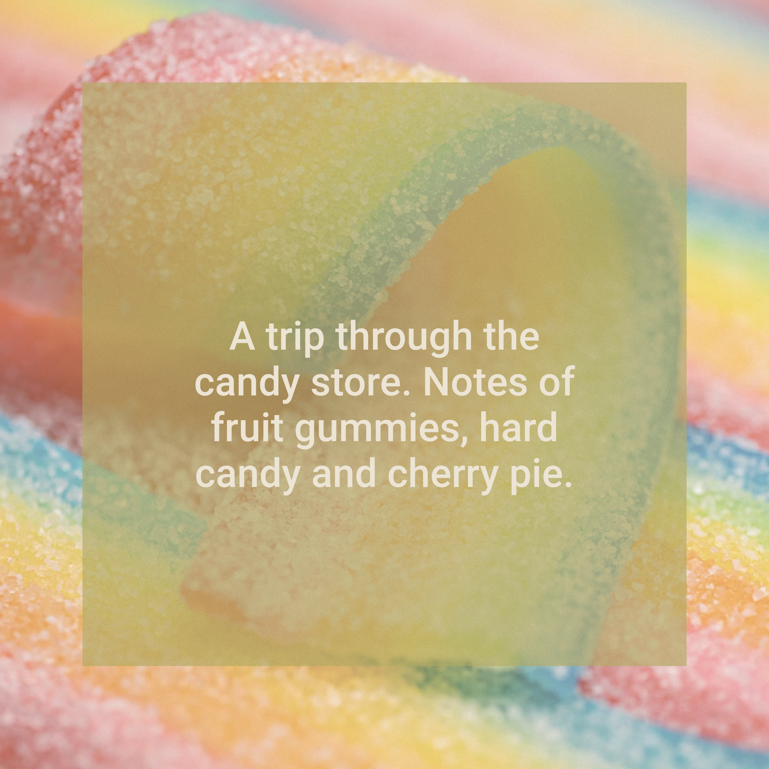 Nordskov Colombia El Placer coffee tasting notes of fruit gummies, hard candy and cherry pie