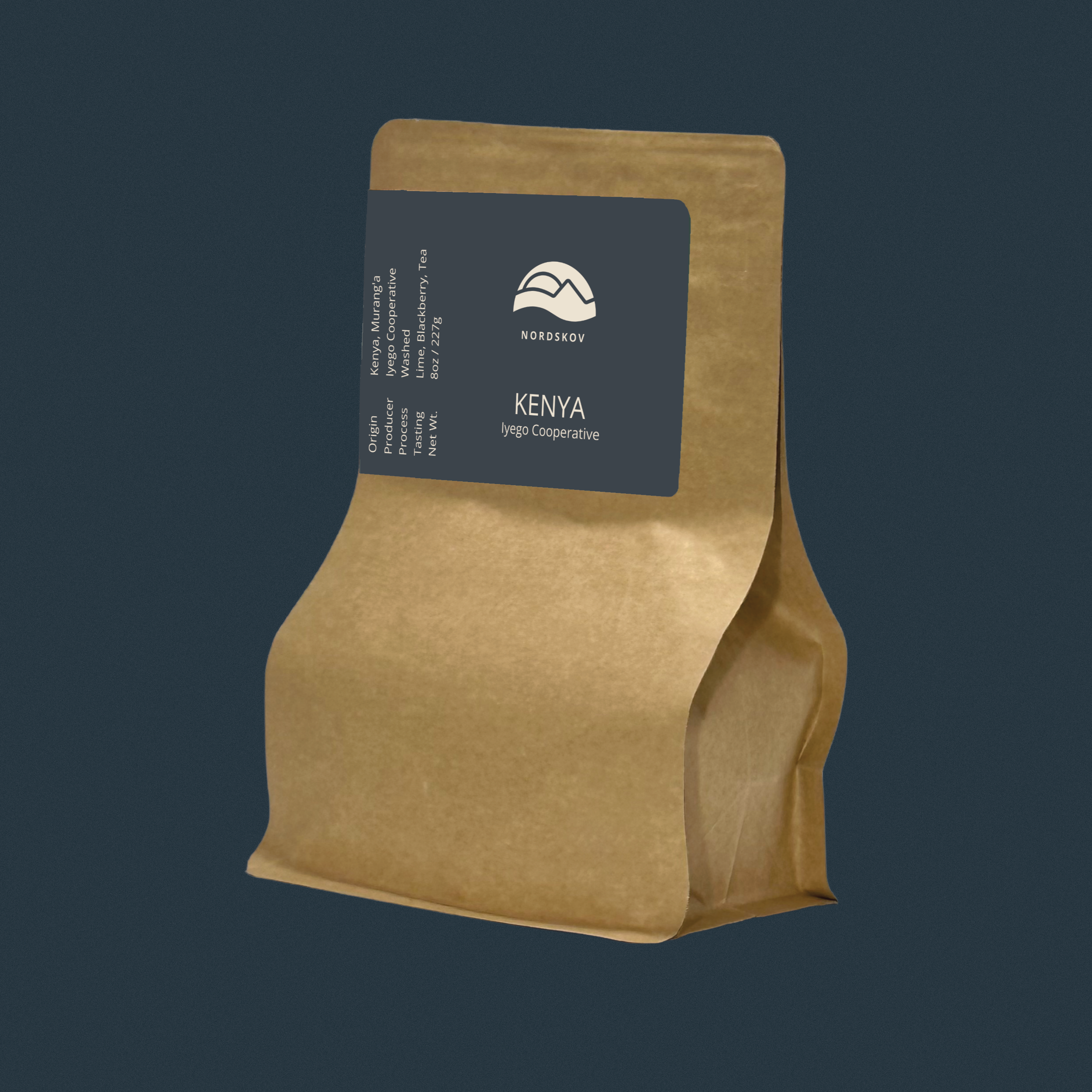 Kenya Iyego Cooperative 2025 bag of coffee beans - side view