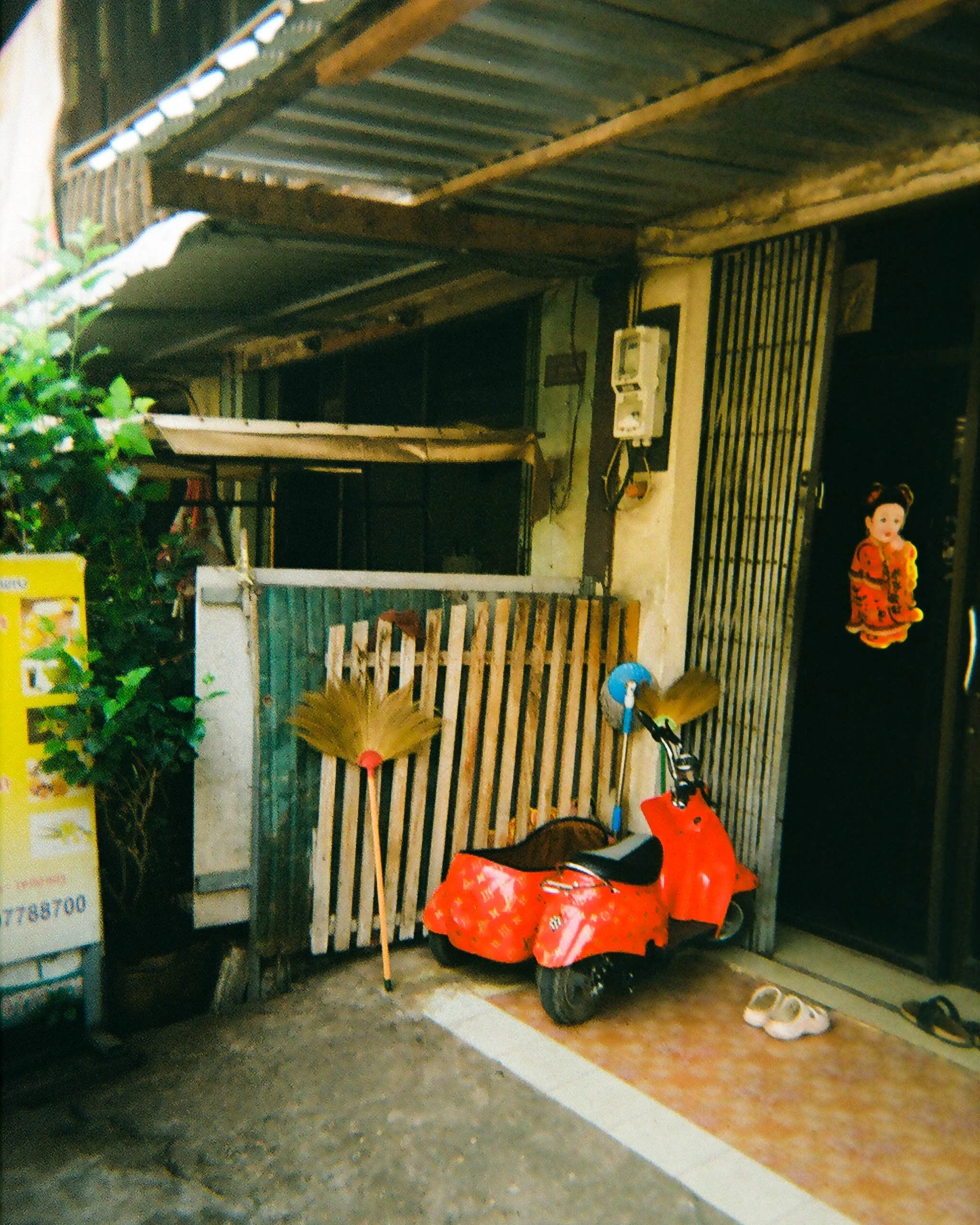 Moody travel photography of Asian landscapes, blending natural light with a cinematic visual tone.