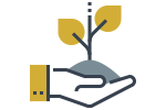 Non-Profit Development