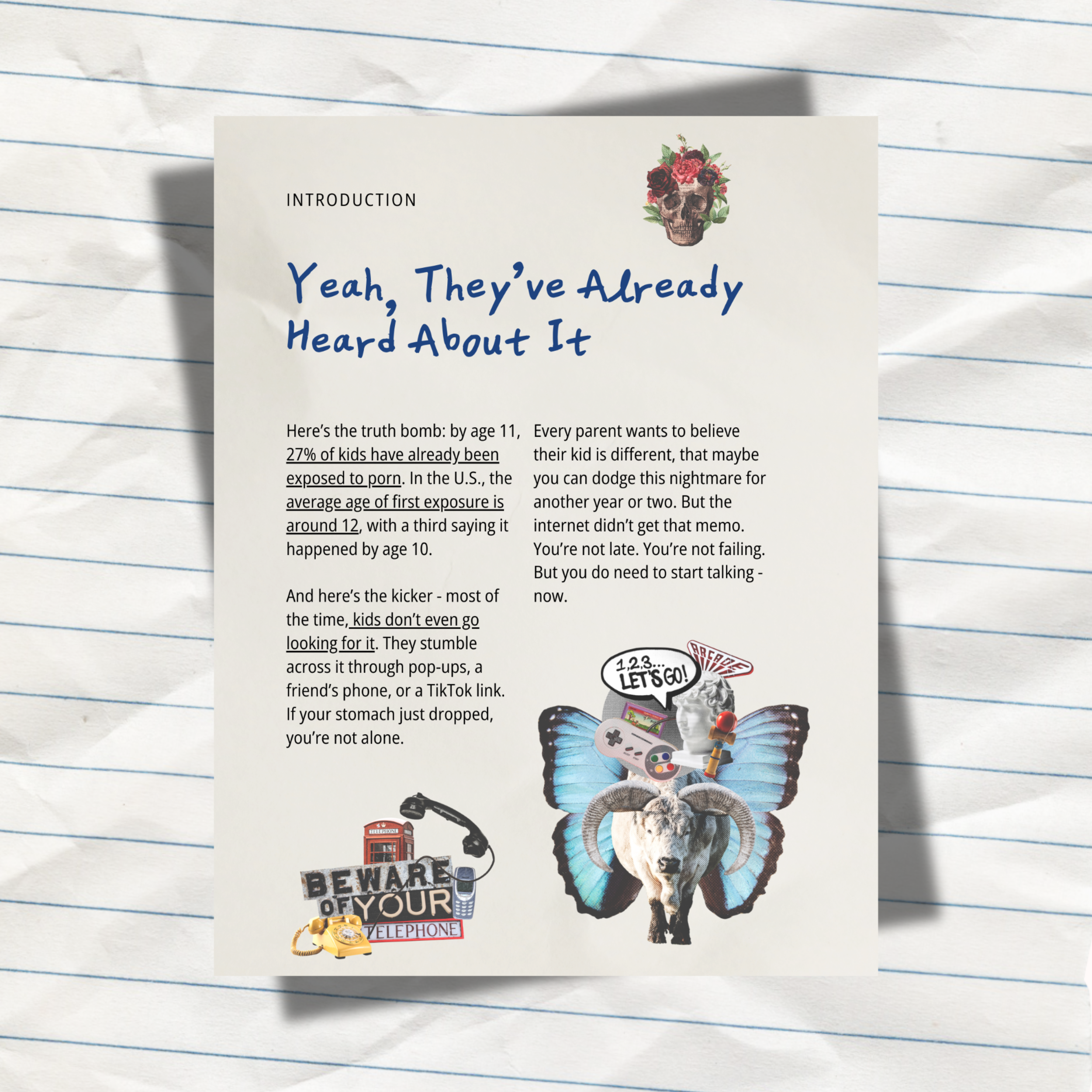 Online Store Graphics (1).png