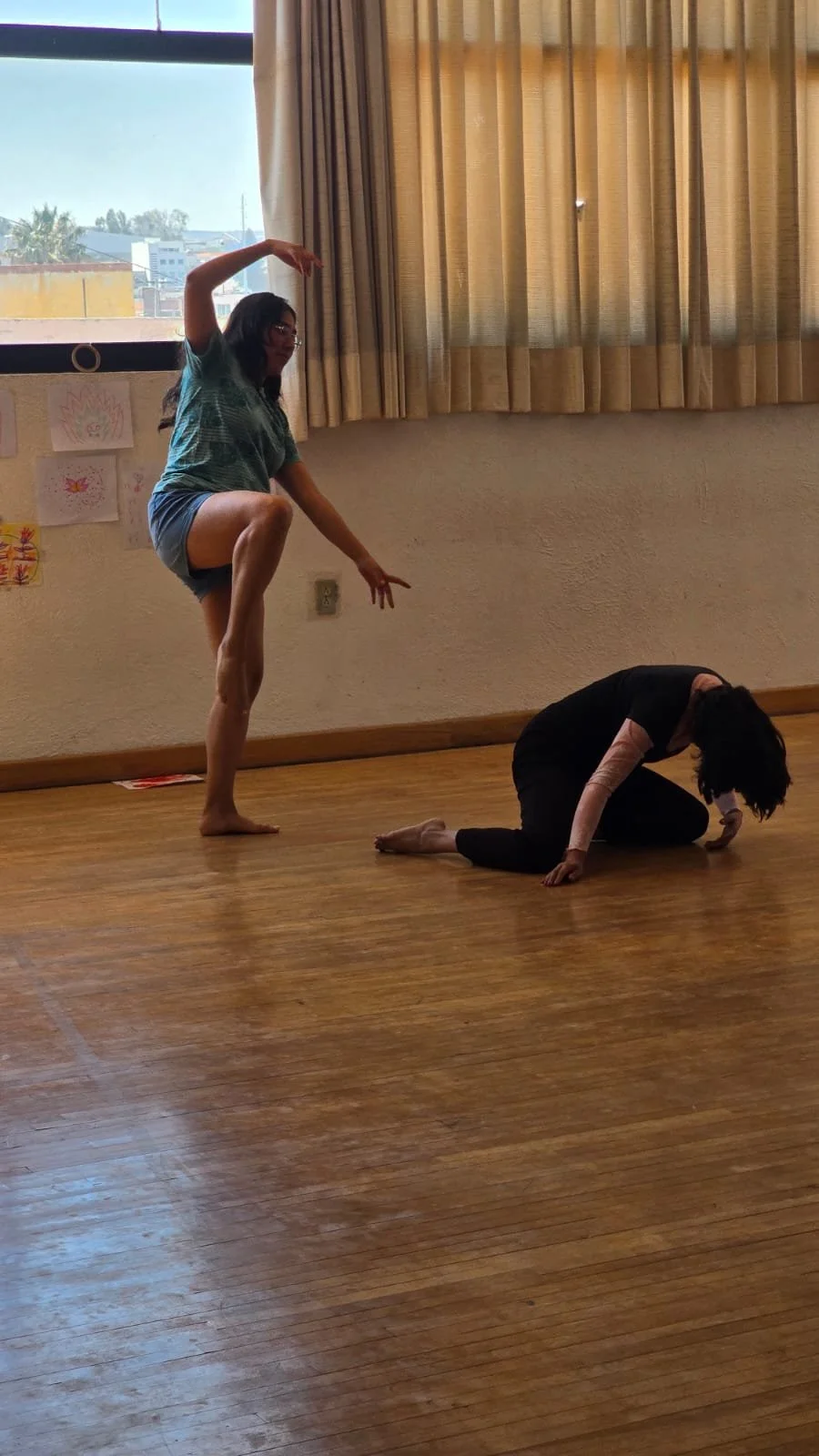 Danza movimiento terapia - presencial Qro