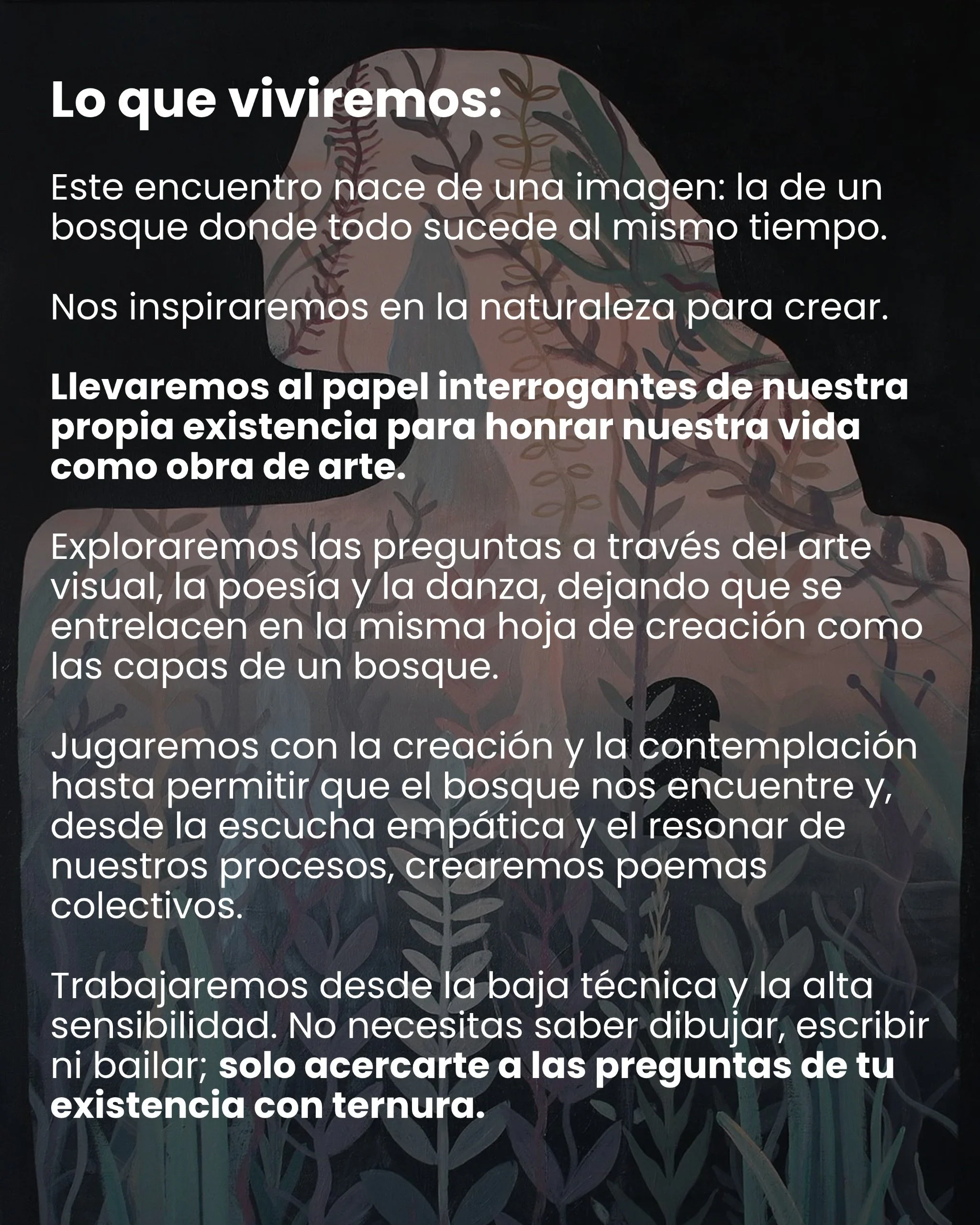 Cartel en español titulado «Lo que viviremos», con texto sobre un encuentro artístico inspirado en la naturaleza, la creación colectiva y la contemplación de un bosque ilustrado.