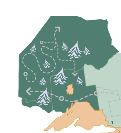 Screenshot 2025-11-12 at 11.23.04.png