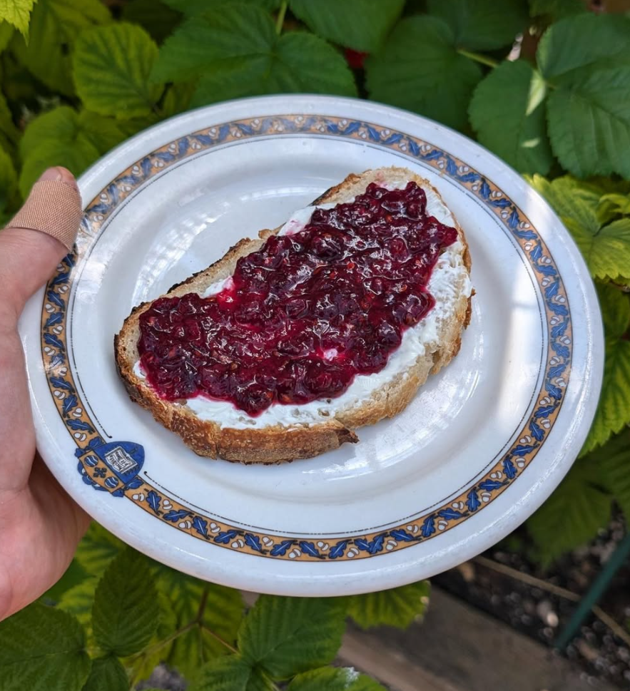 2024 Foraging Highlights