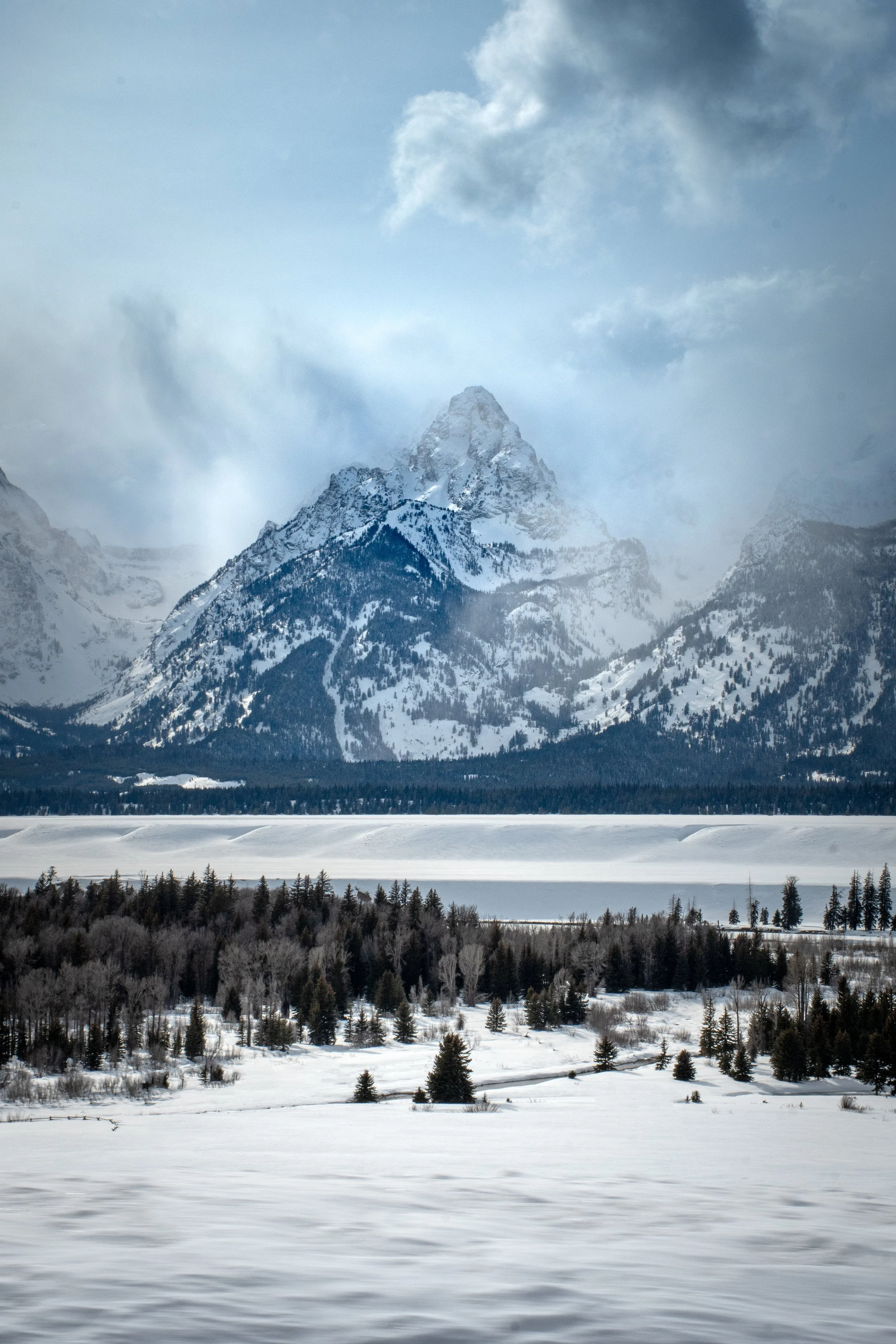 tetons.jpg