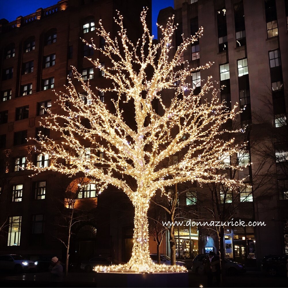 sparkly tree in MTL.jpeg