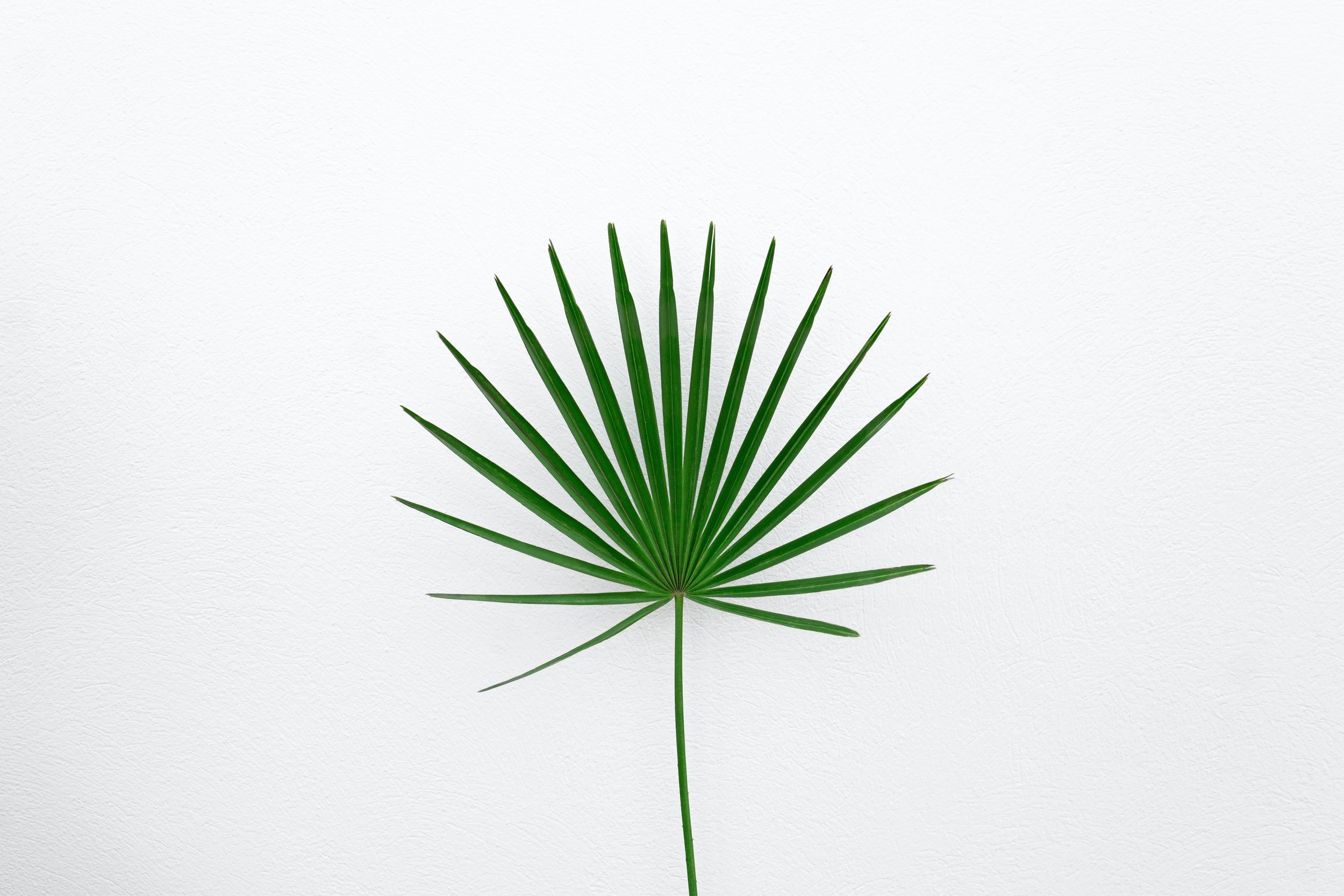 agata-create-4SbDro9ND5c-unsplash.jpg