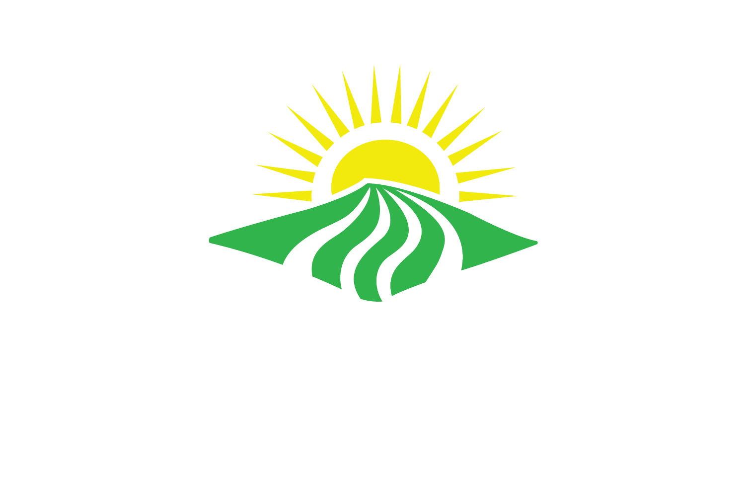 VisionScapes