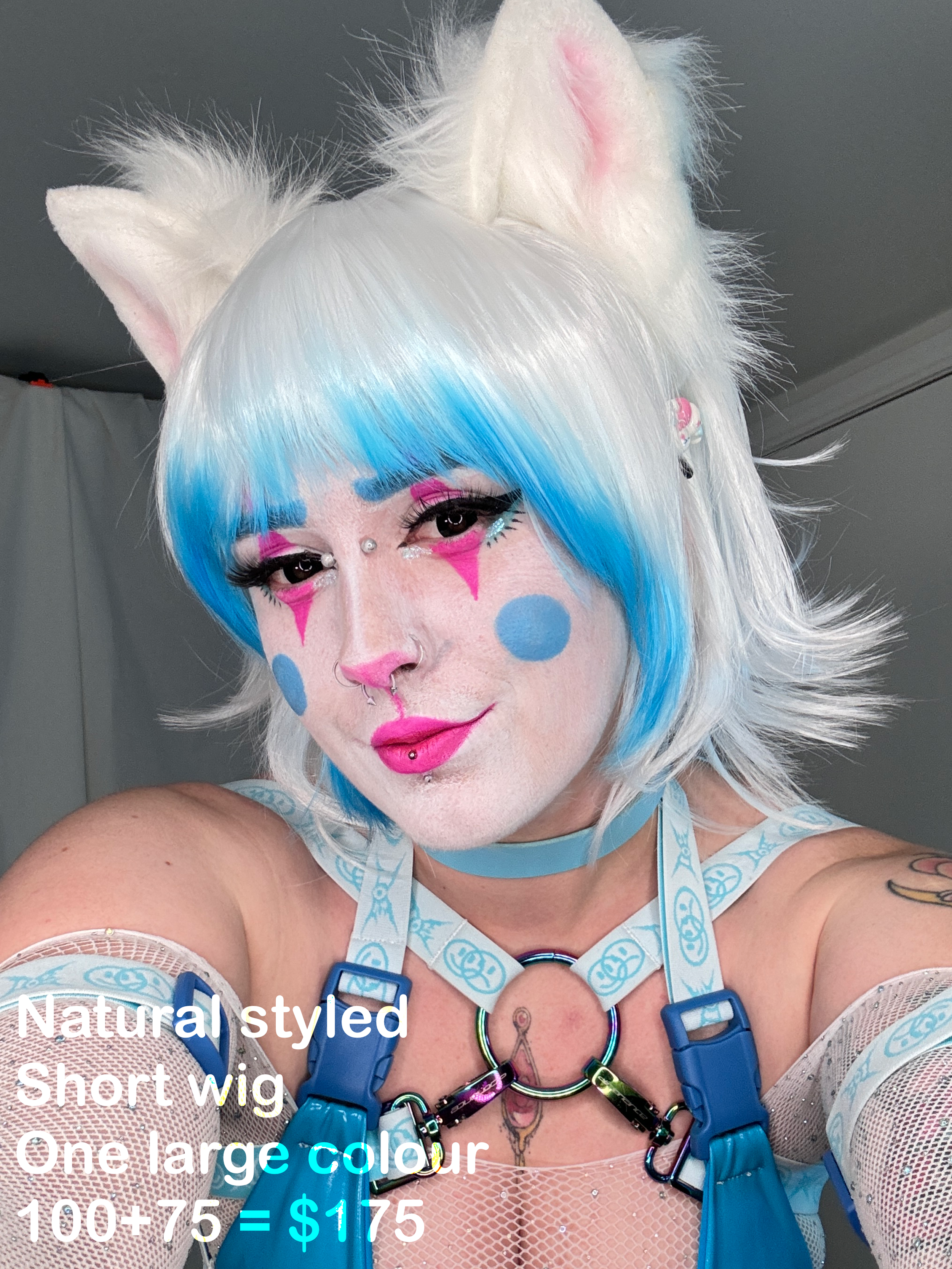 Clown OC wig.png