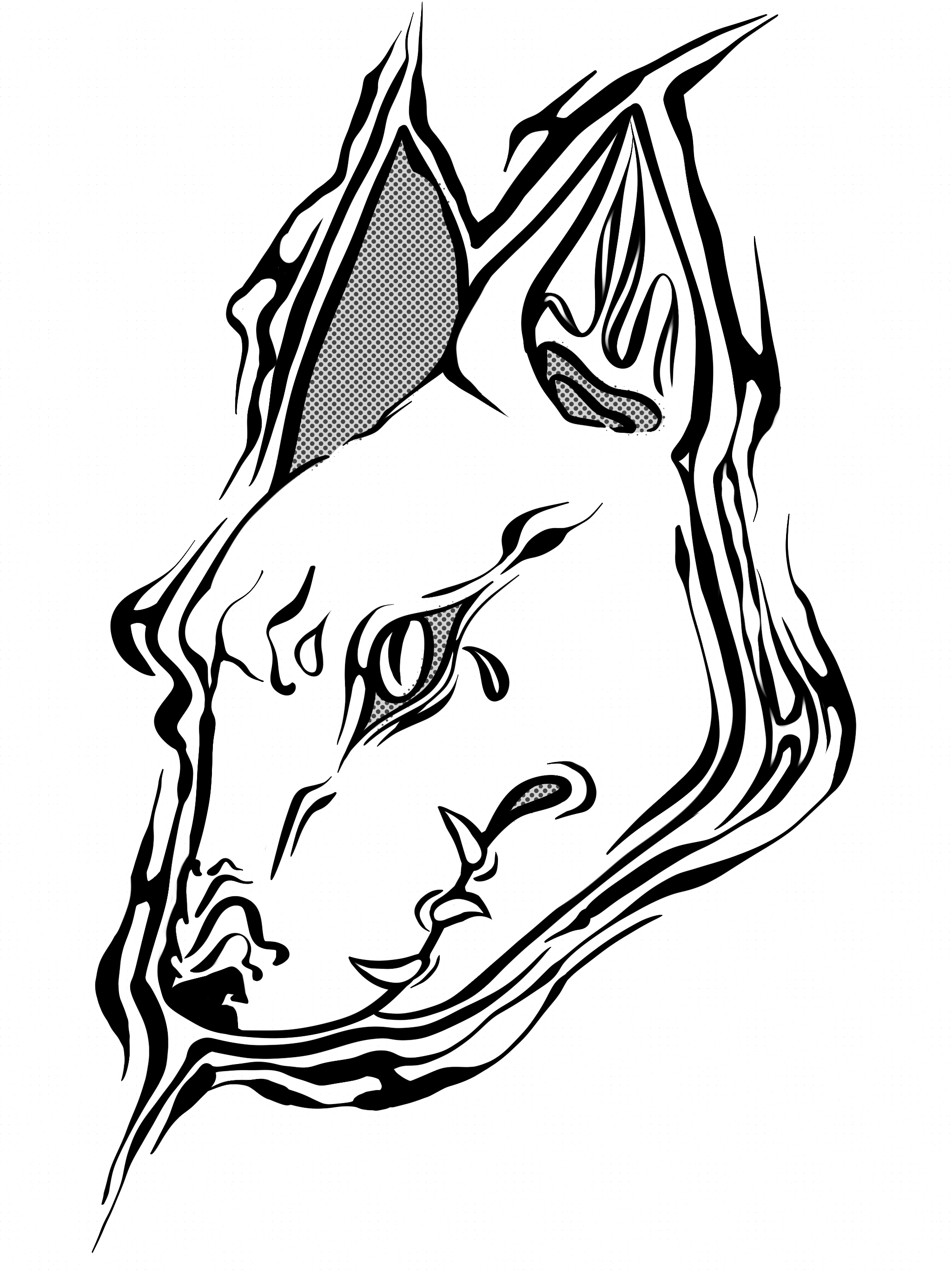 IMG_9565.png
