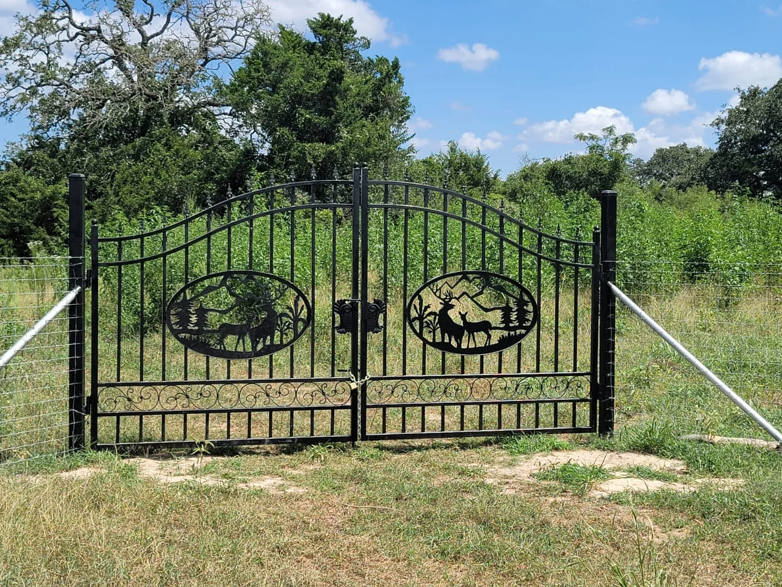 WhatsApp Image 2022-01-05 at 12.56.02 PM (1).jpeg