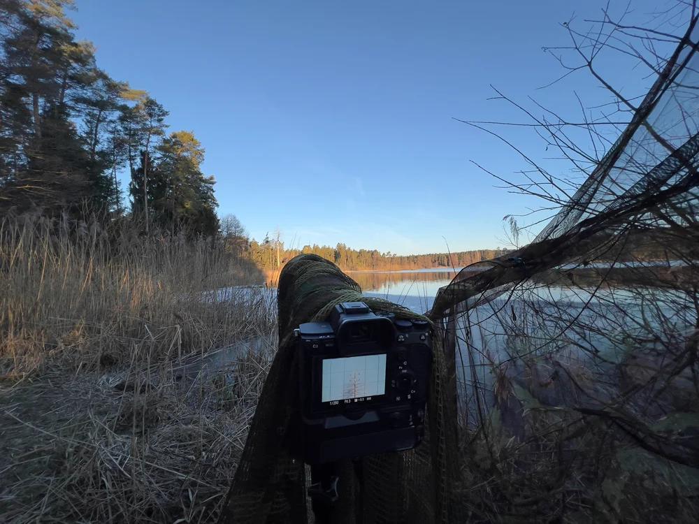 Camouflaged Camera Overlooking Pond