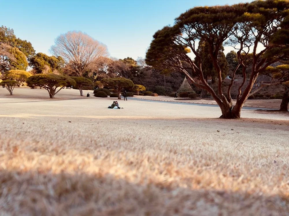 Shinjuku Gyoen Park (Kopie)