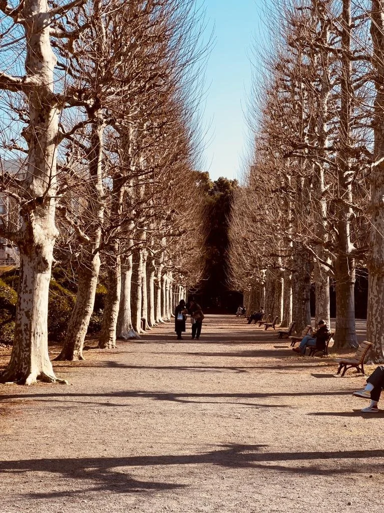 Shinjuku Gyoen Park (Kopie)
