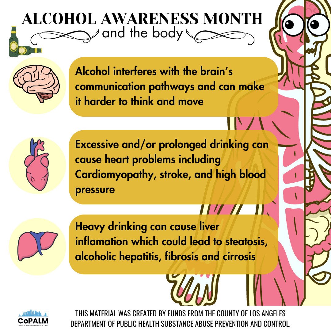 In the US, more than 140,000 people die every year from alcohol misuse, making it one of the leading causes of preventable deaths. April is Alcohol Awareness Month so let's examine how alcohol can negatively impact the body-- specifically the brain, 