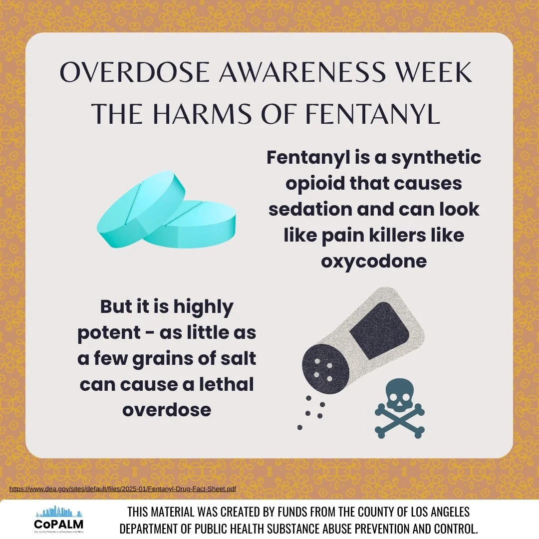 International Overdose Awareness Week runs from August 24 through 31 so today we are talking about the harms of fentanyl. 

Fentanyl is a synthetic opioid that causes sedation and can look like pain killers like oxycodone, but it is highly potent - a