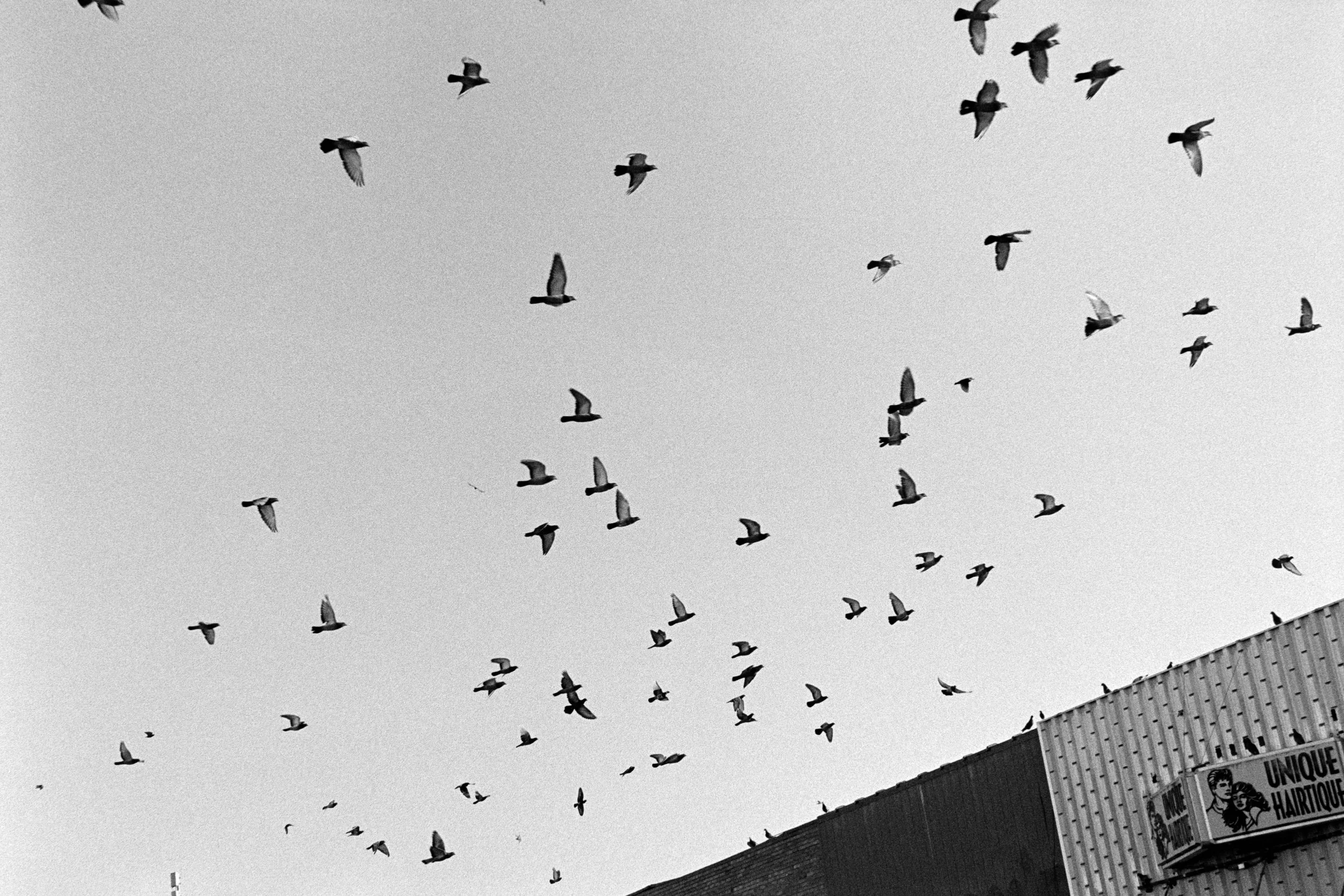 032 Leica M6 HP5 Brylee Wedding October 2025_10.jpg