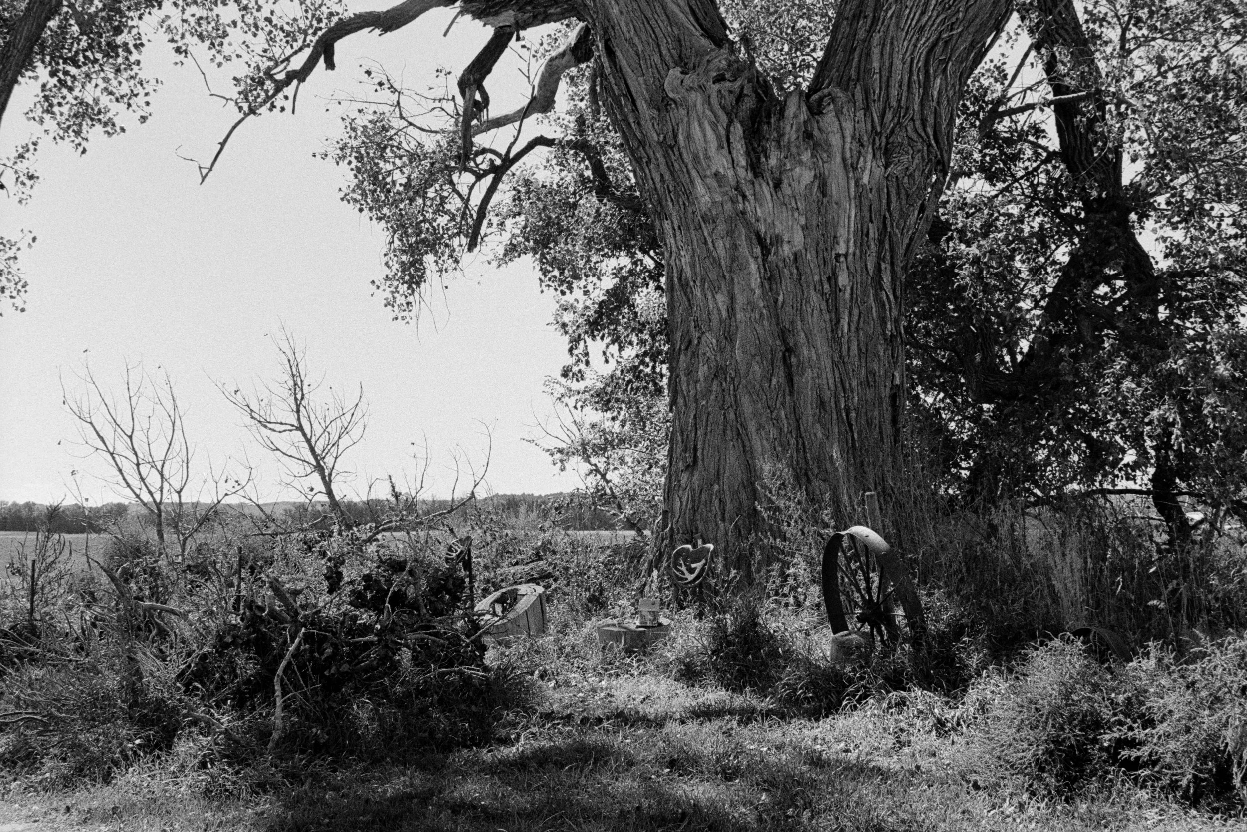 032 Leica M6 HP5 Brylee Wedding October 2025_36.jpg