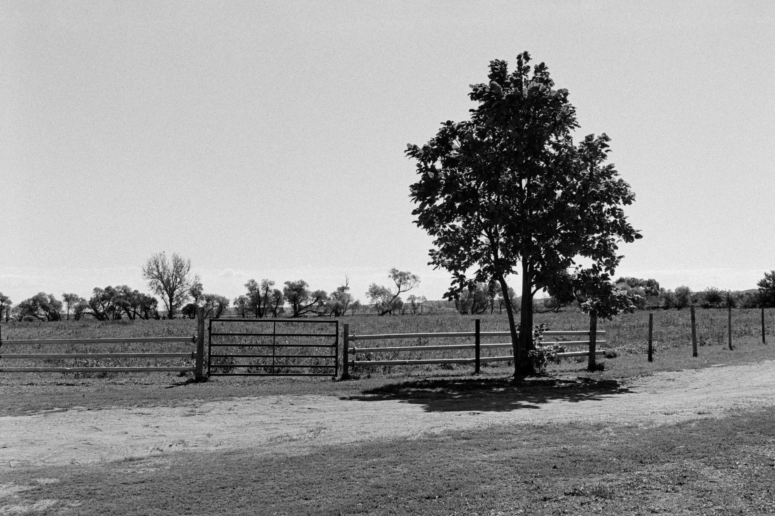 032 Leica M6 HP5 Brylee Wedding October 2025_32.jpg