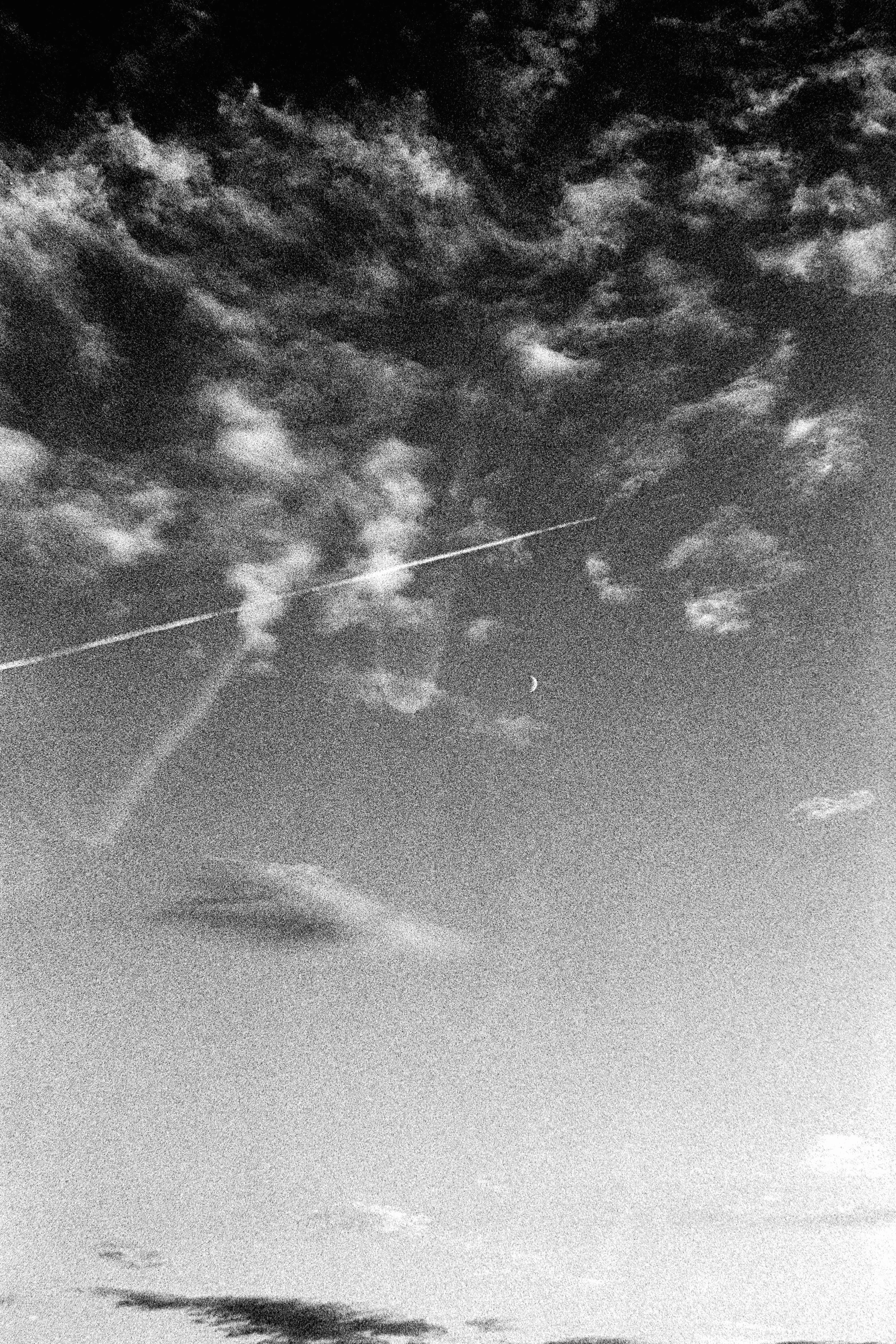 026 Leica M6 HP5 Asheville September 2025_18.jpg