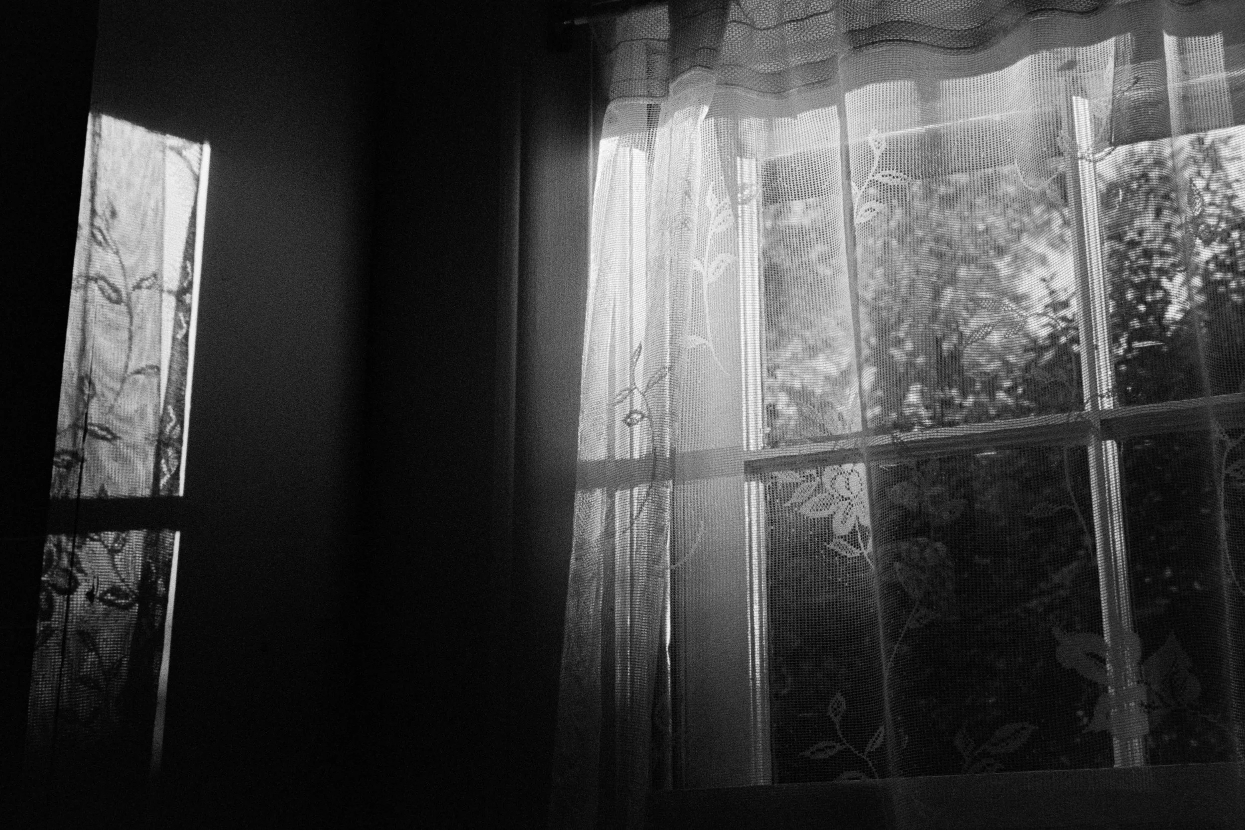 035 Leica M6 Kodak 400TX Charlotte October 2025_20.jpg