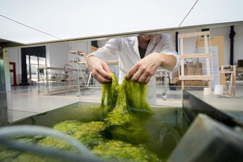 eric-klarenbeek-maartje-dros-change-system-dutch-design-week-algae_dezeen_2364_col_9-852x568.jpg