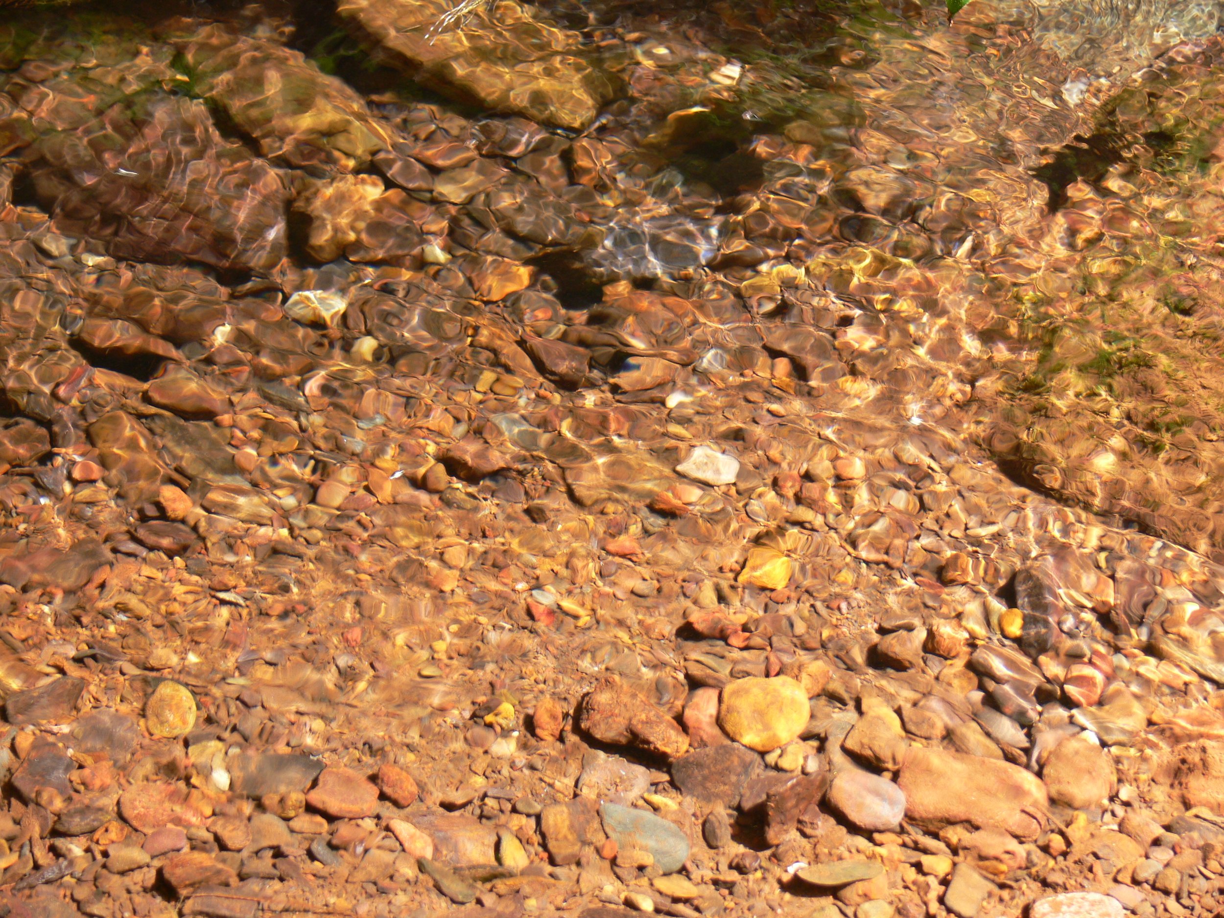 P1110328.JPG