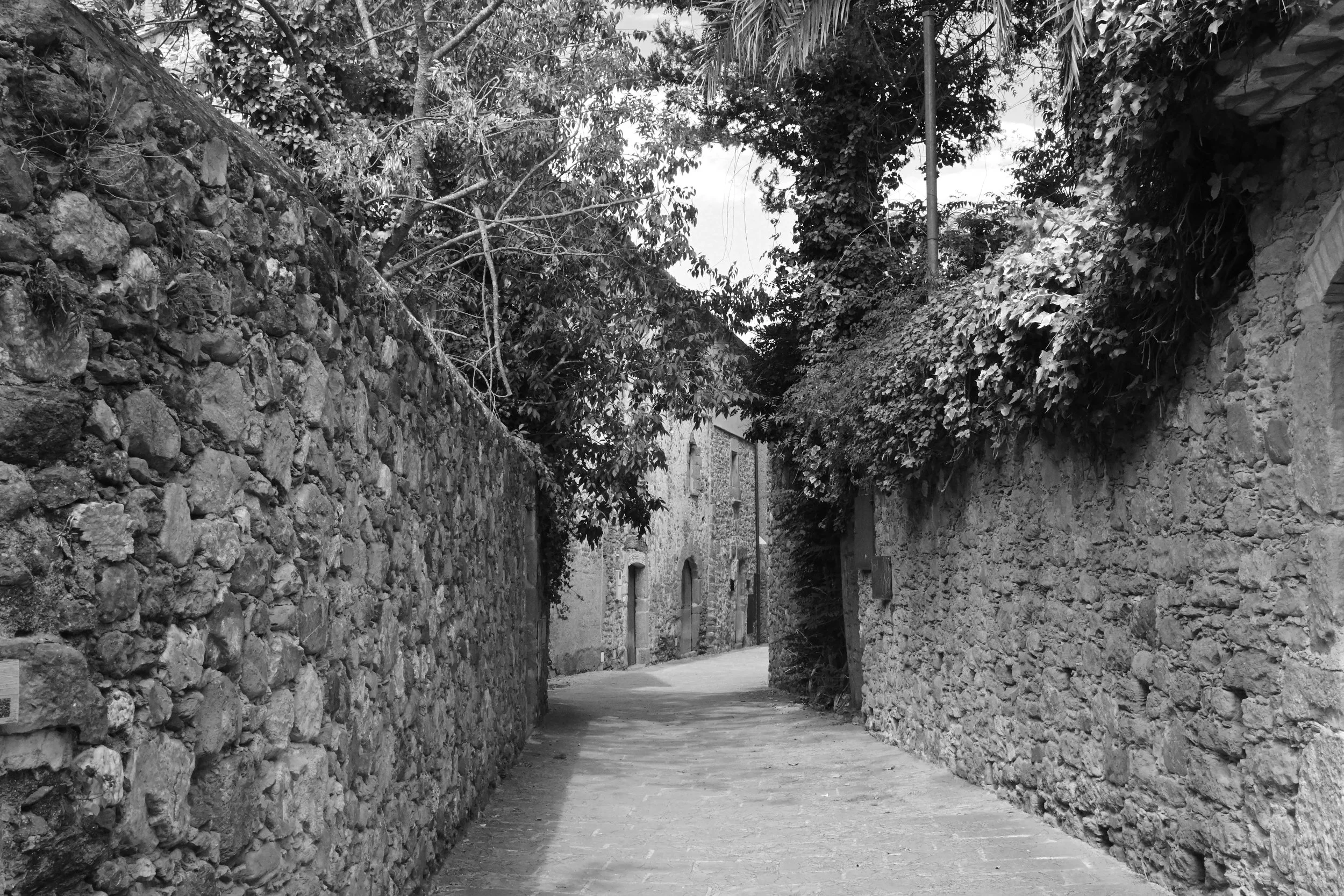 DSC_1665_26Lane.JPG