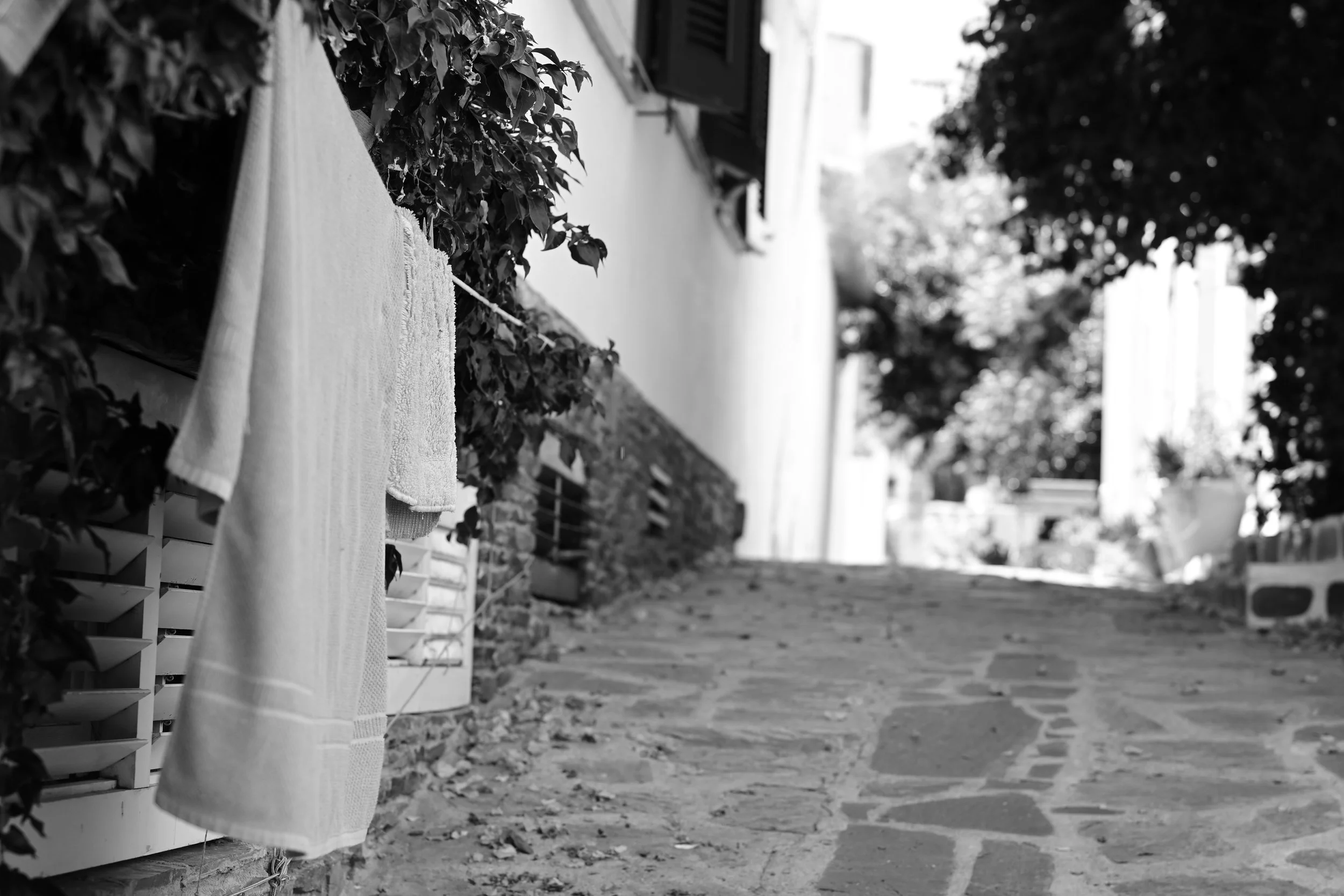DSC_1692_32Towel.JPG