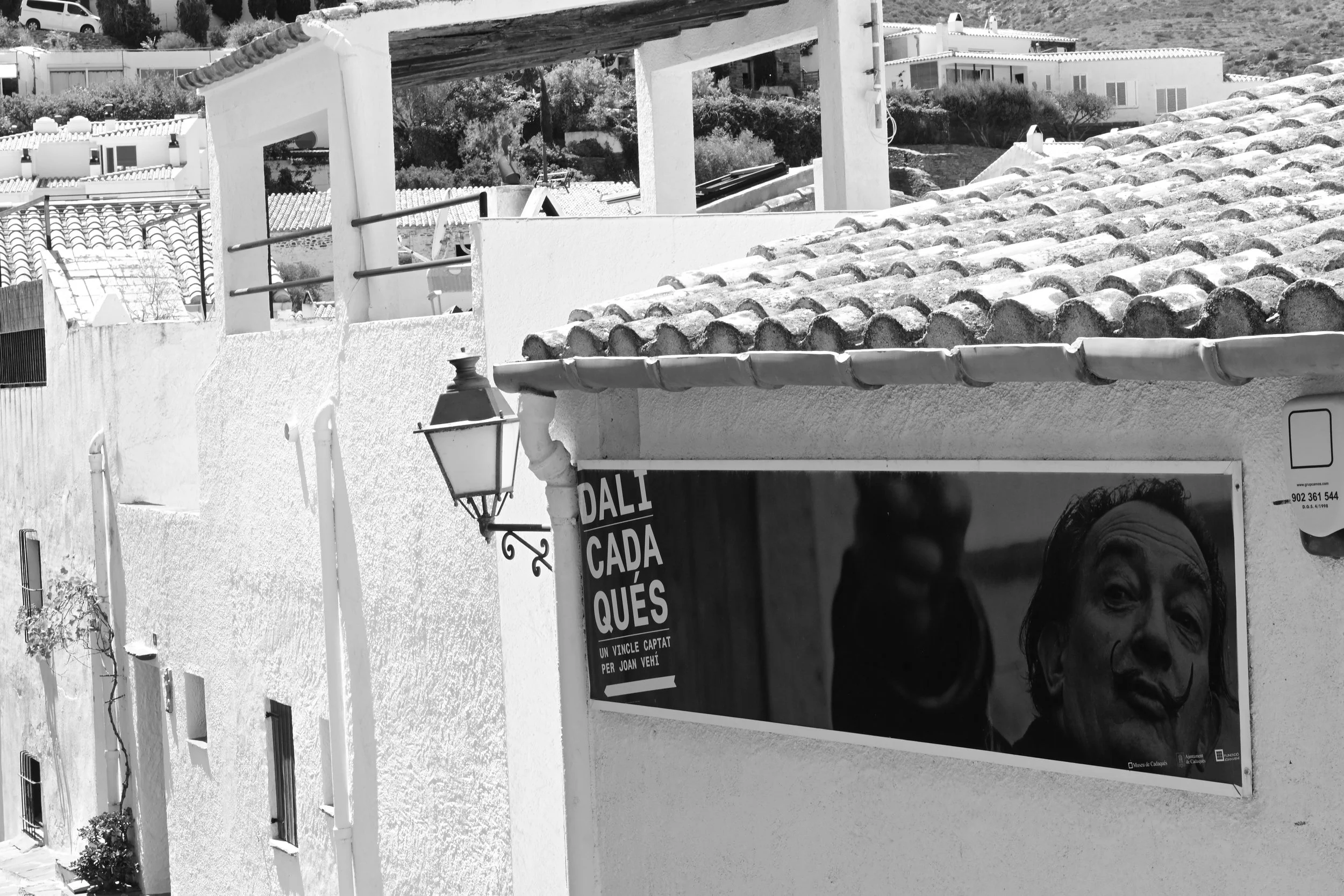 DSC_1703_33Dali2.JPG