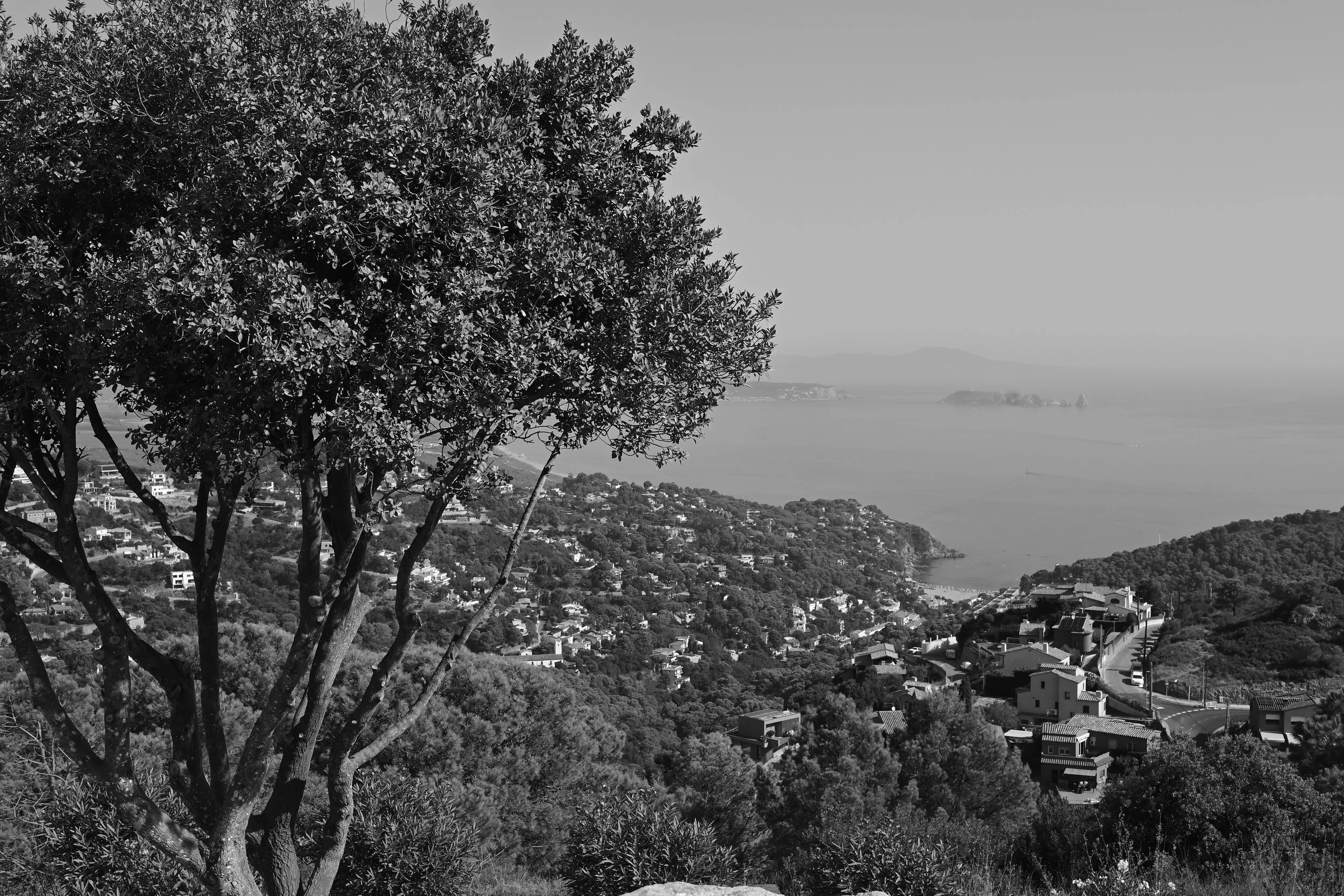 DSC_1883_52Begur3.JPG
