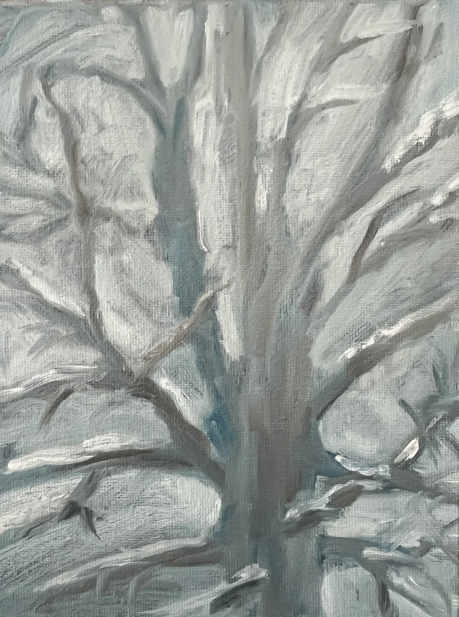 The Oak,
Oil on canvas board.
8x6in.,
2026
