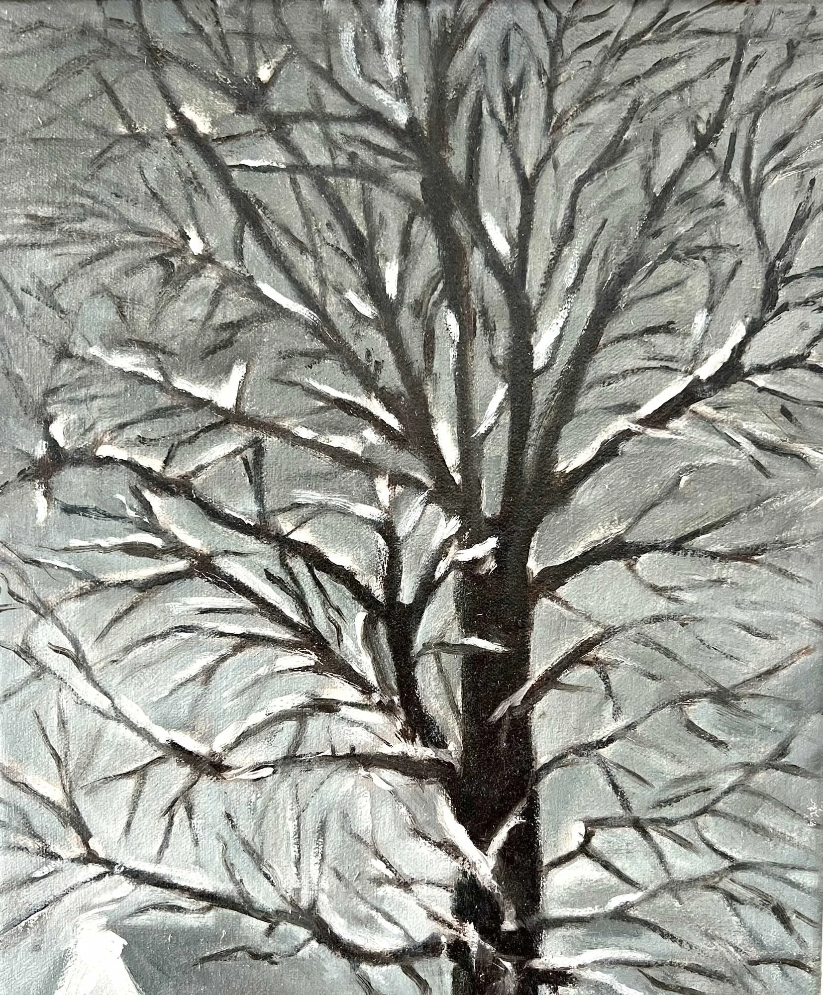 January Oak,
Oil on canvas.
12x10in.,
2022
