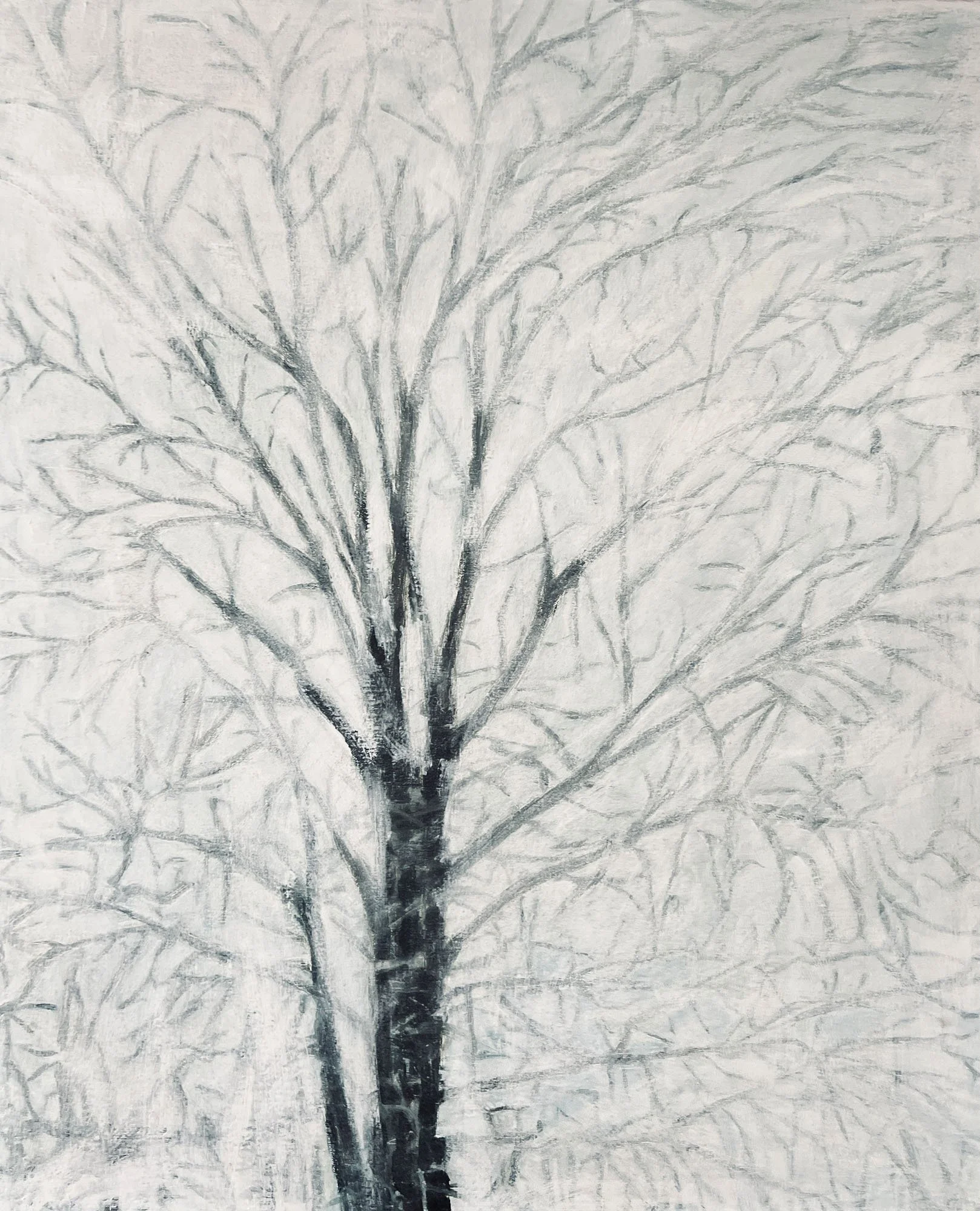 Winter Oak,
Oil on canvas.
24x20in.,
2022
