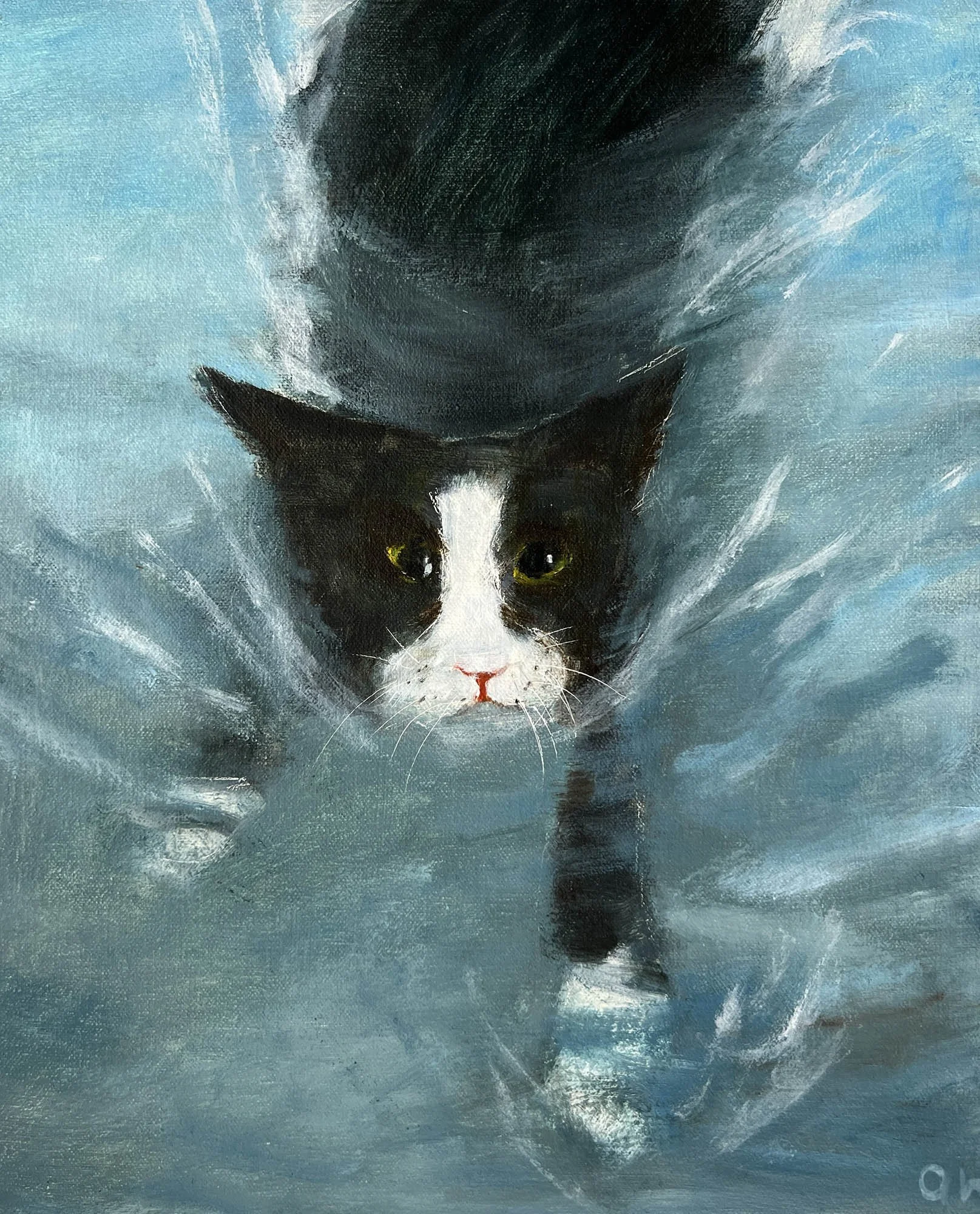 Tuxedo Cat Swimming,
Oil on canvas.
11x9in.,
2026