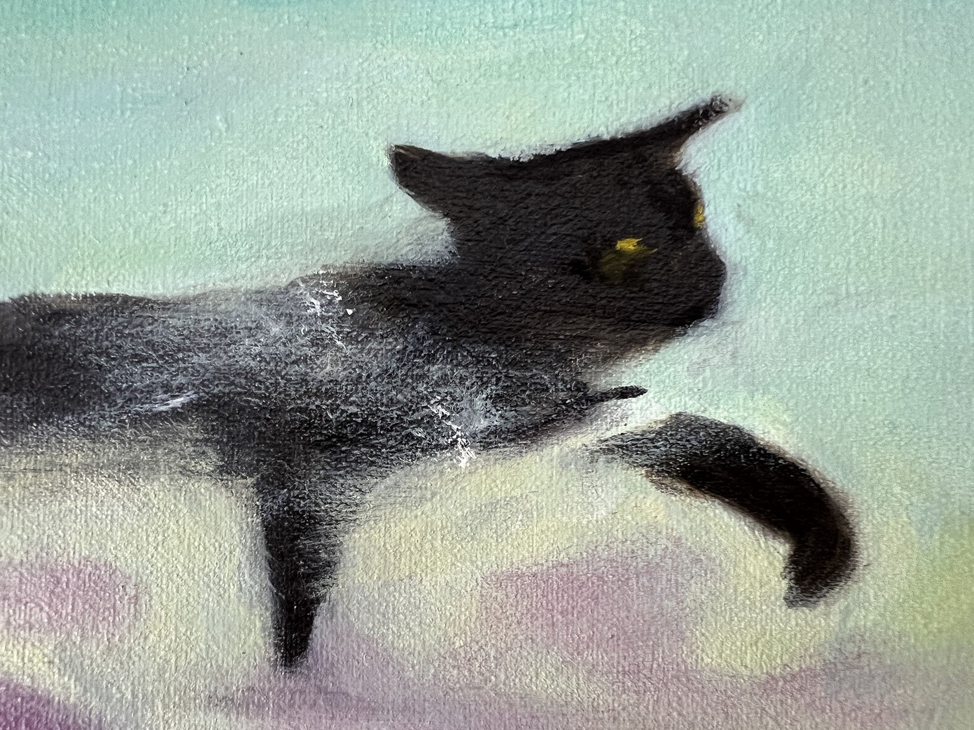 Black Shadow Cat,
oil on canvas.
8x10in.,
2026

