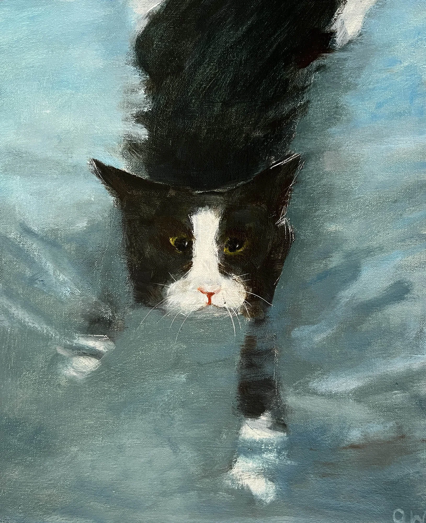 Tuxedo Cat Swimming,
Oil on canvas.
11x9in.,
2026
